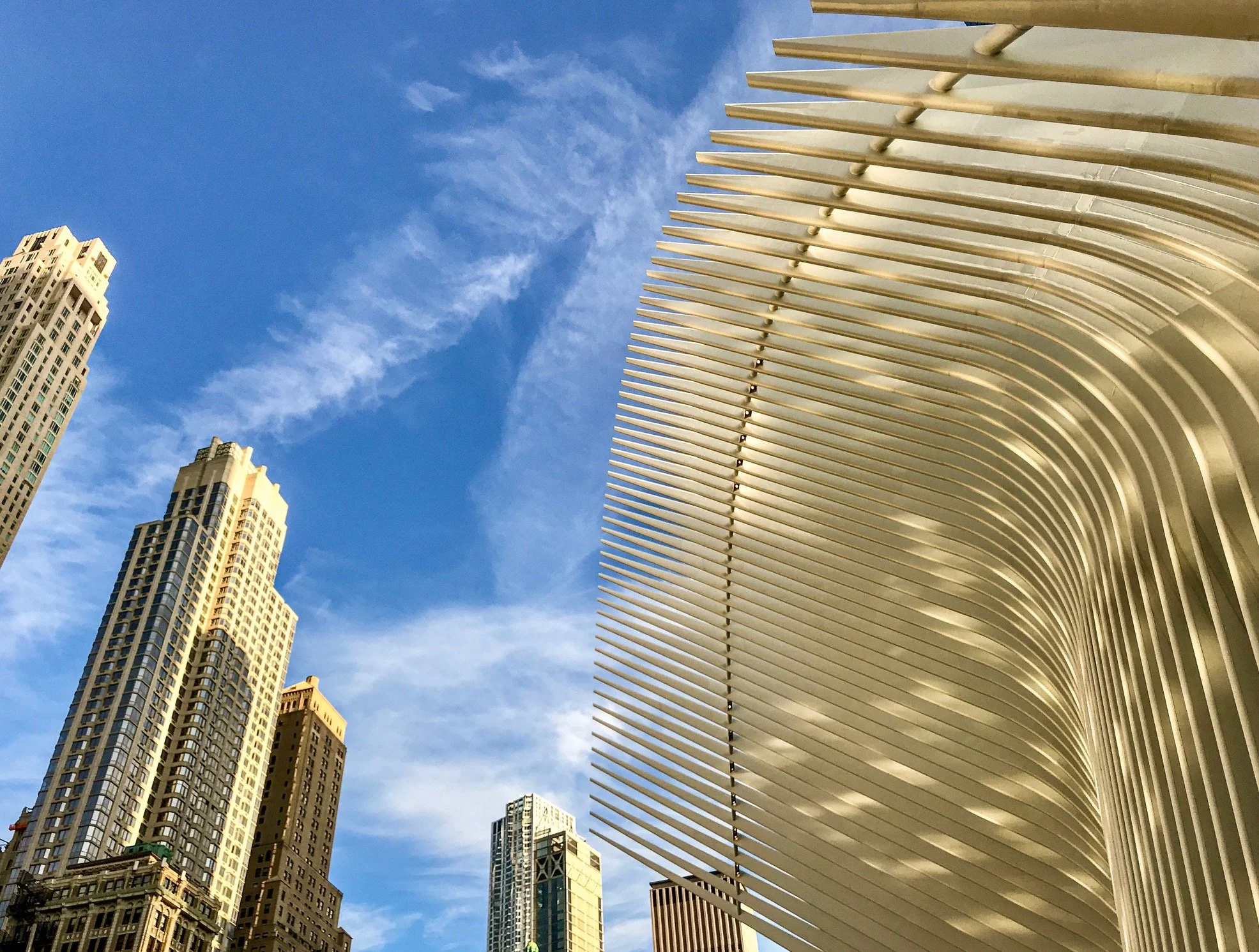 @ @ Oculus_World Trade Center.jpg