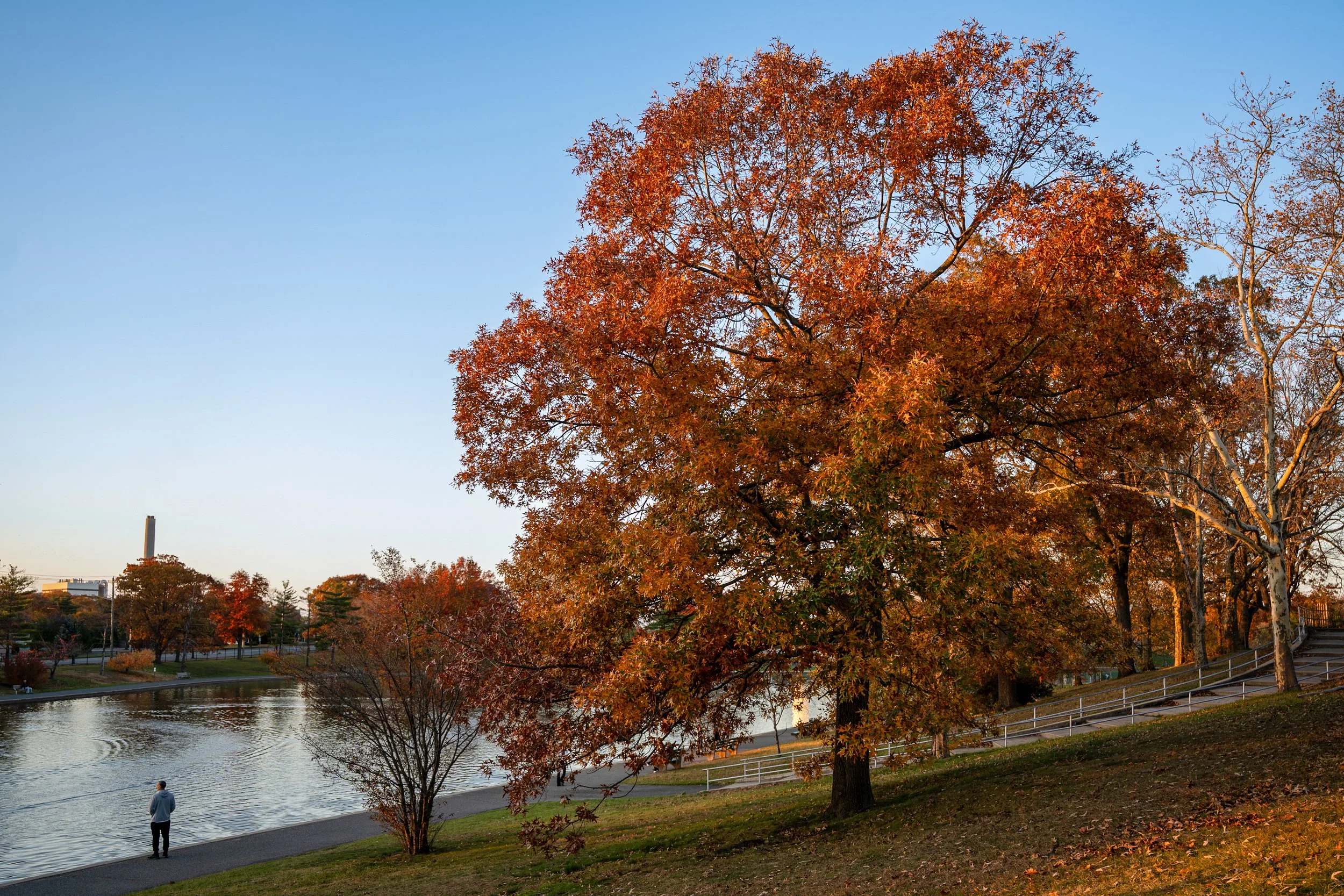 Chasing Autumn Light: Sundown to Sunrise at Long Island’s Eisenhower Park