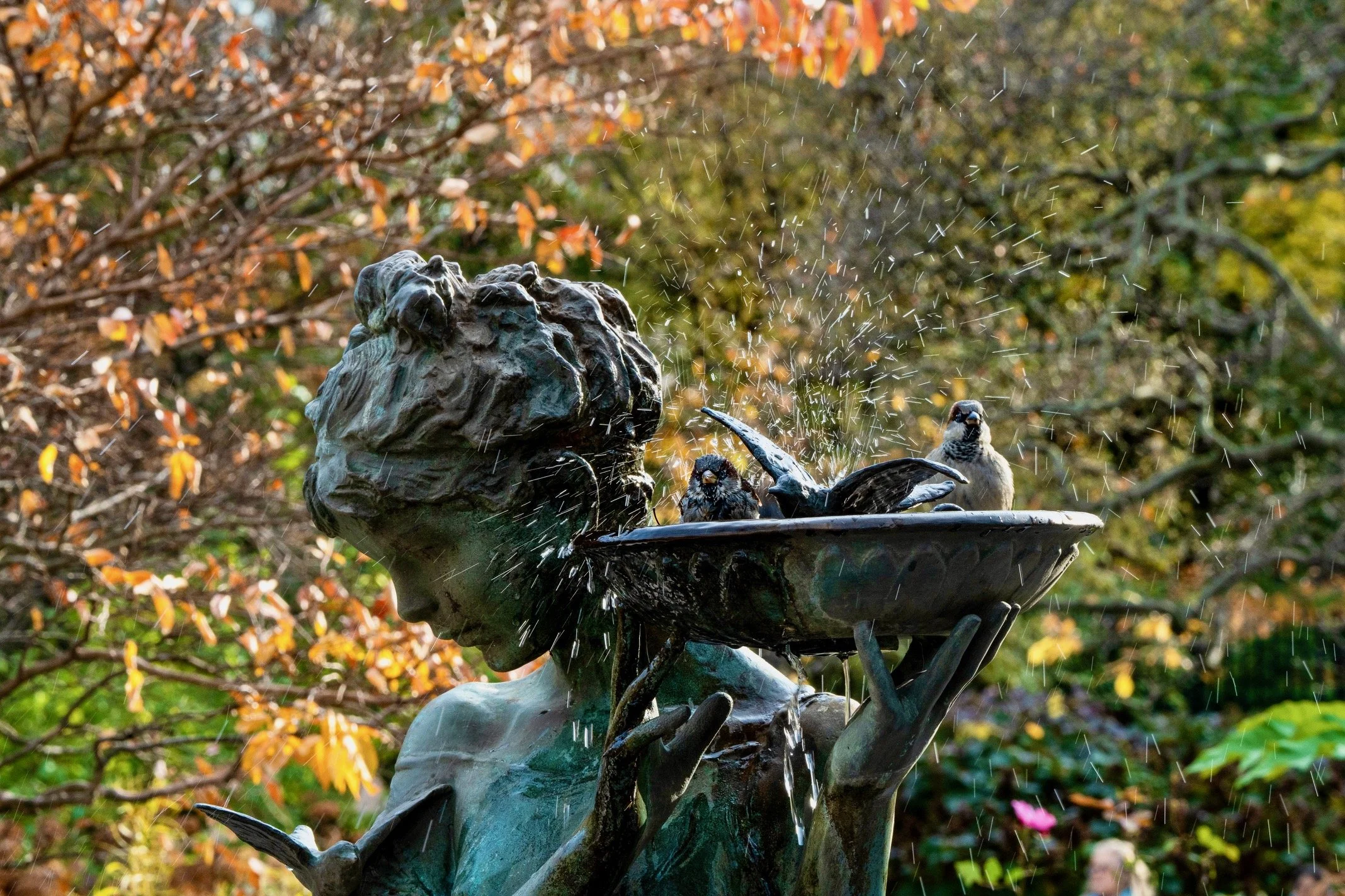  Mary and her bird bath at the Burnett Fountain in the Conservatory Garden in Central Park.  