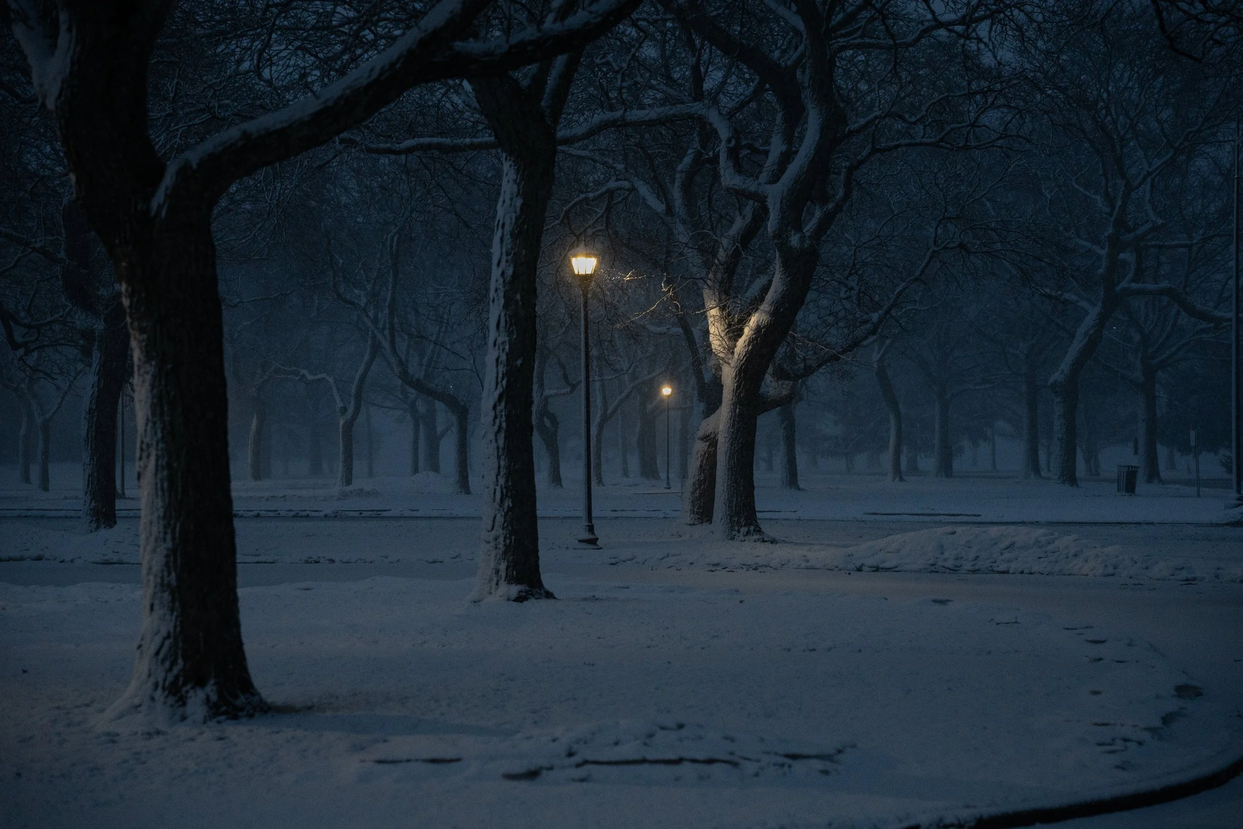  A photo I took at Eisenhower Park at the start of a snow storm on Long Island this winter. 
