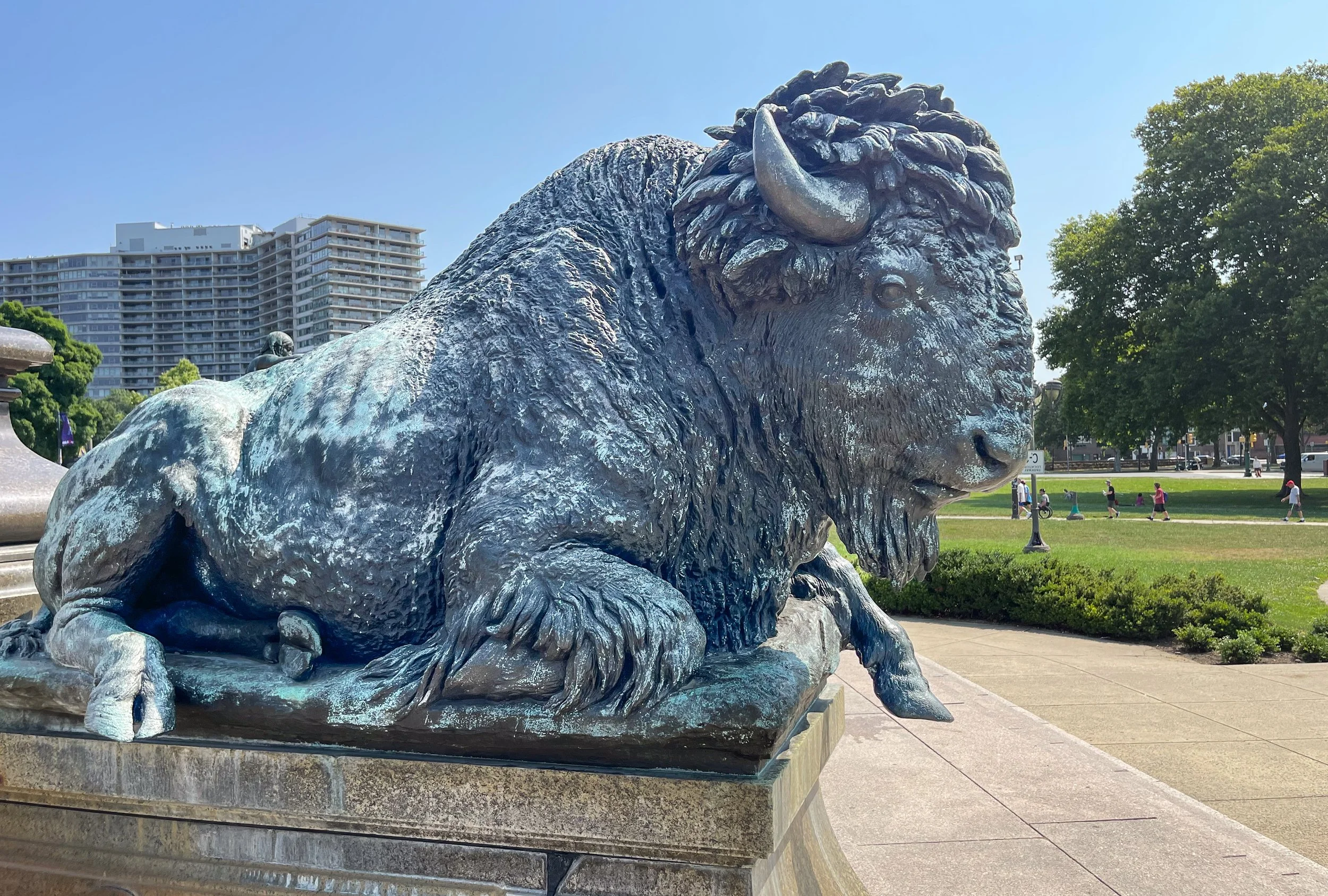 @ Bison_Washington Monument.jpg