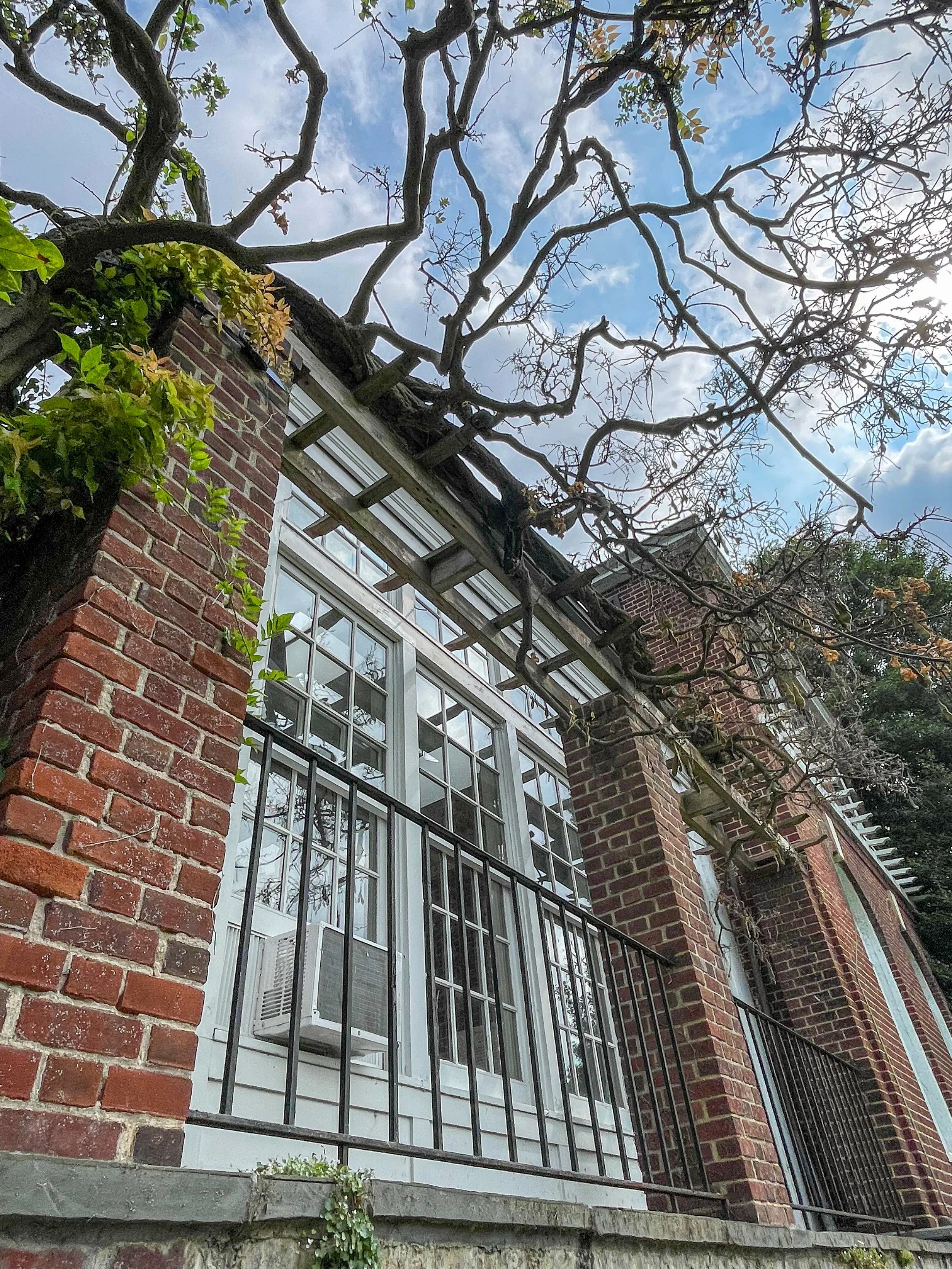 @ Glyndor Terrace_side windows.jpg