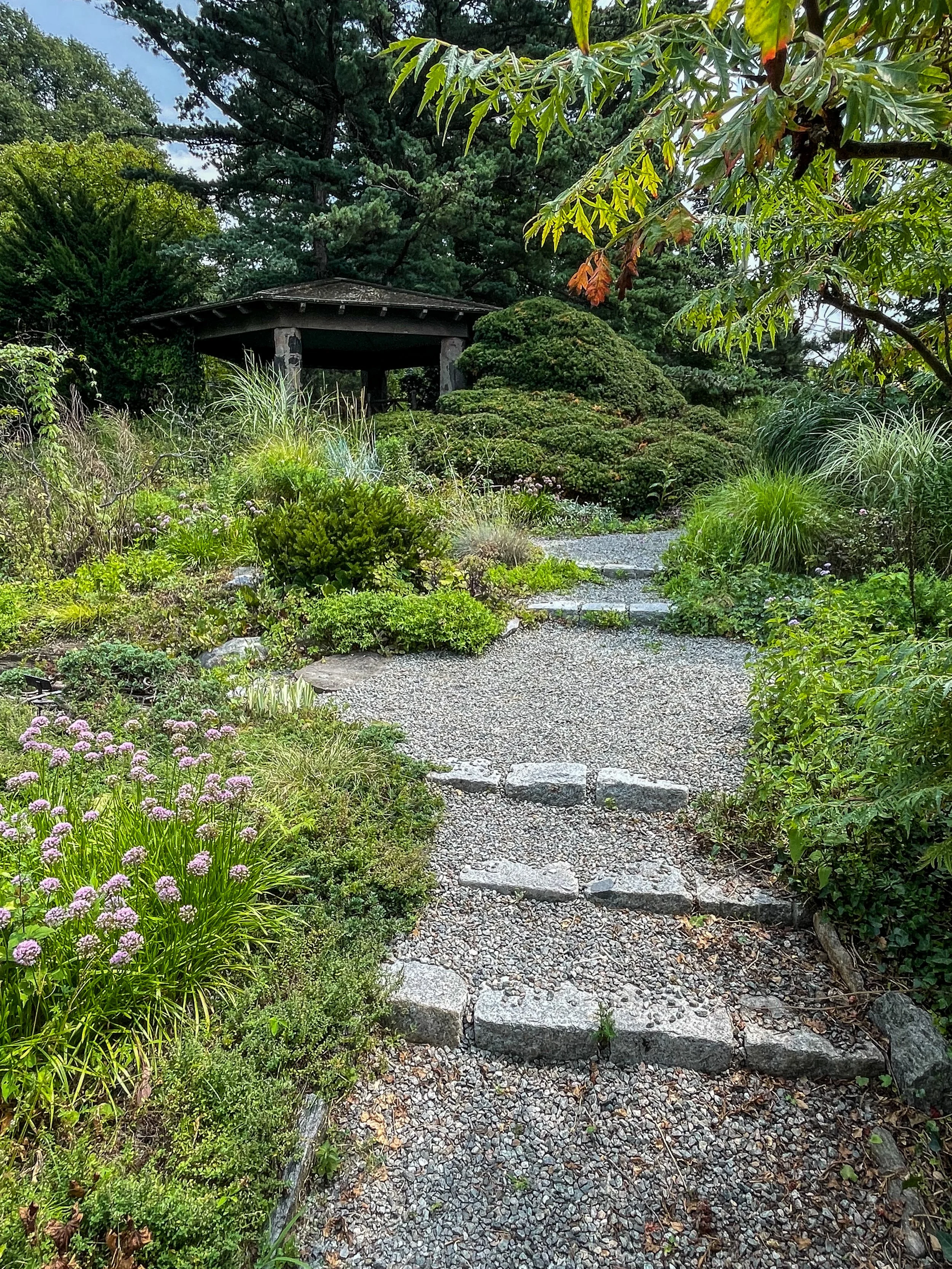 @ Gazebo with bench-Wild Garden..jpg