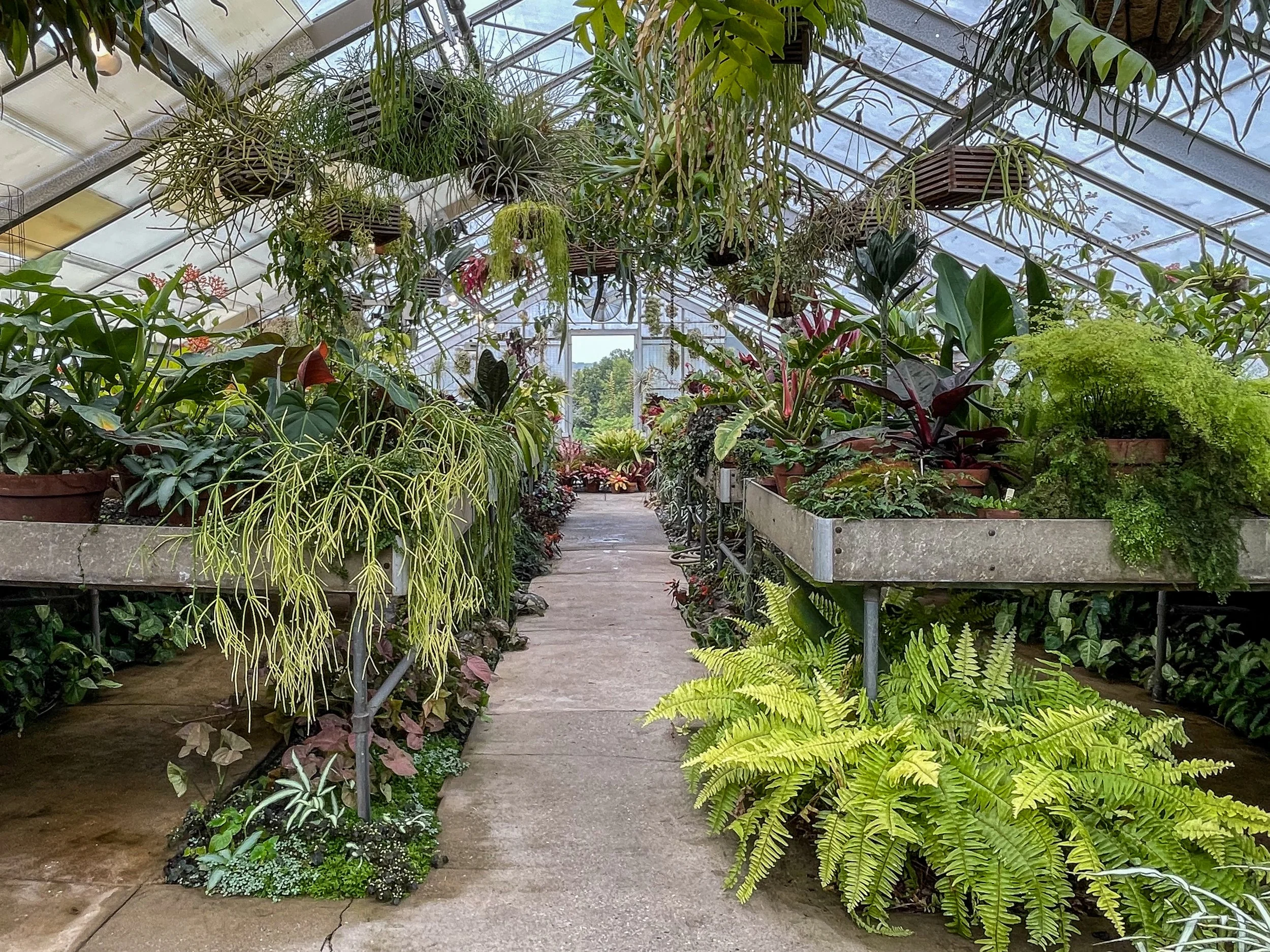 @ Greenhouse.jpg