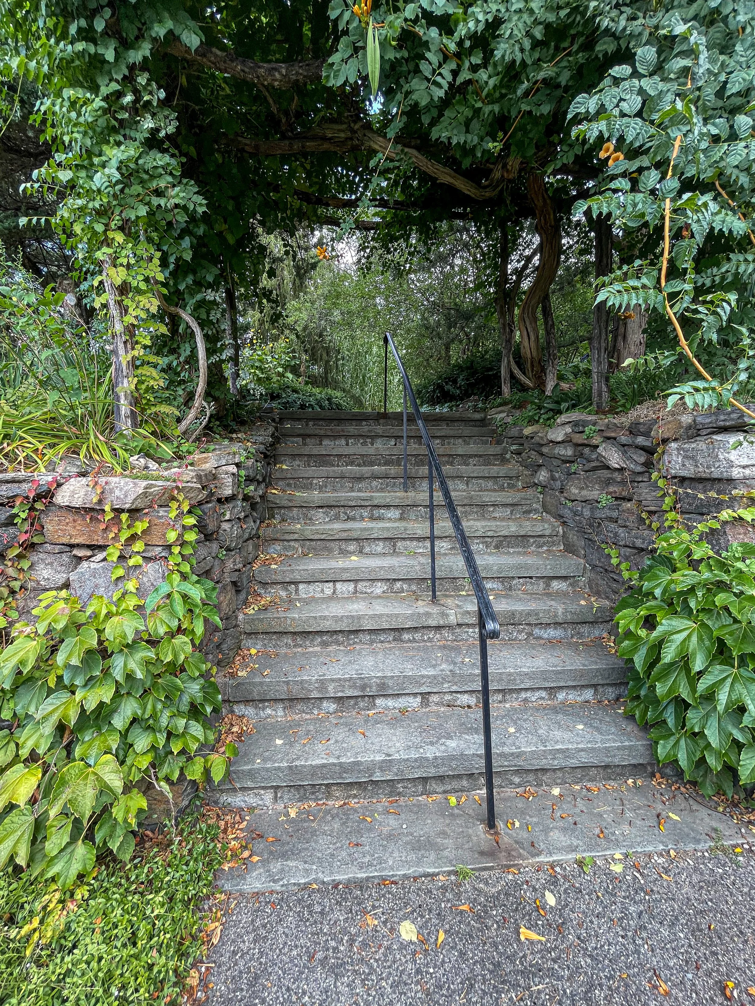 @ Stairs stone_.jpg