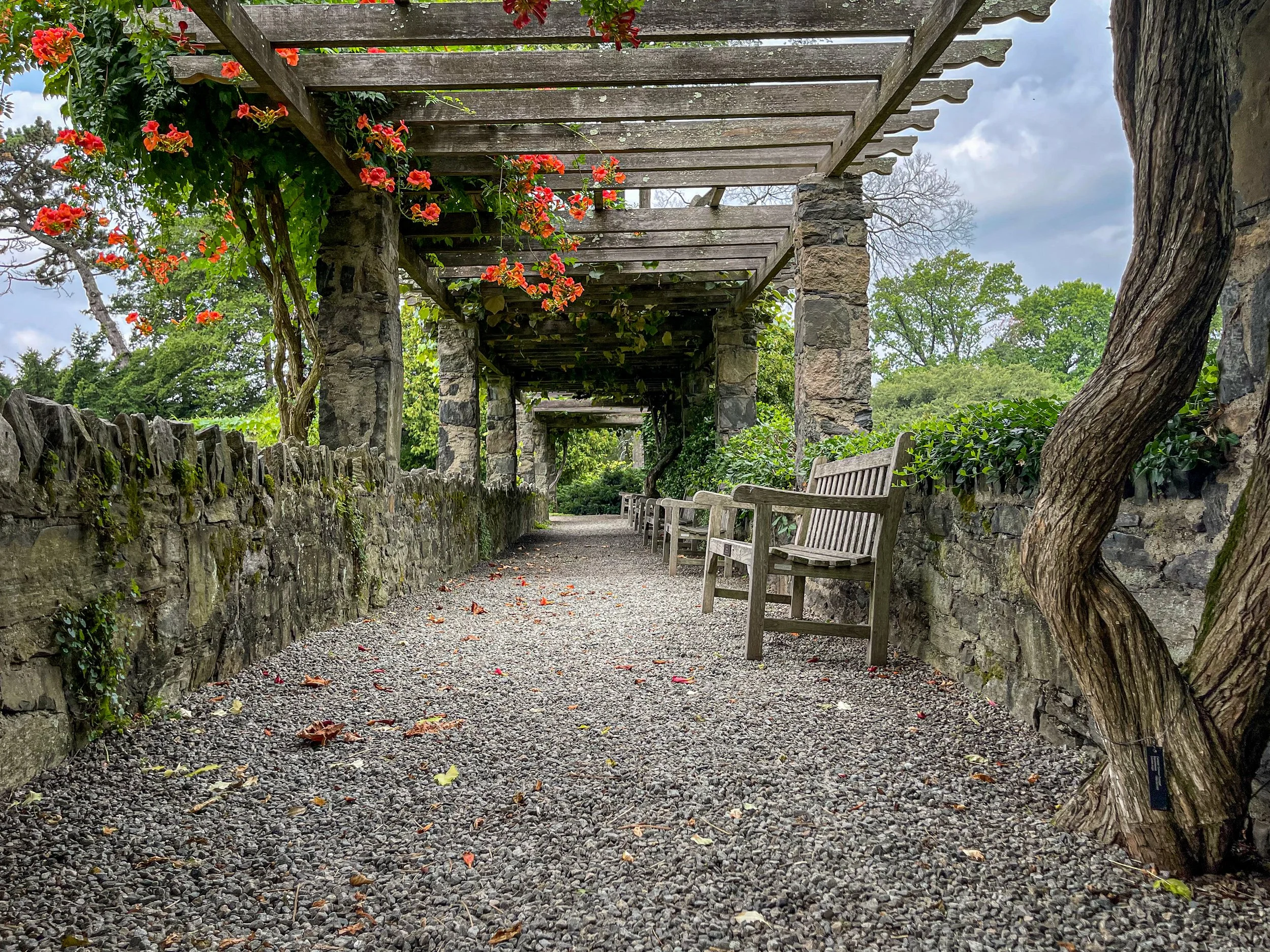 @ Upper Paragola_Aquatic Garden.jpg
