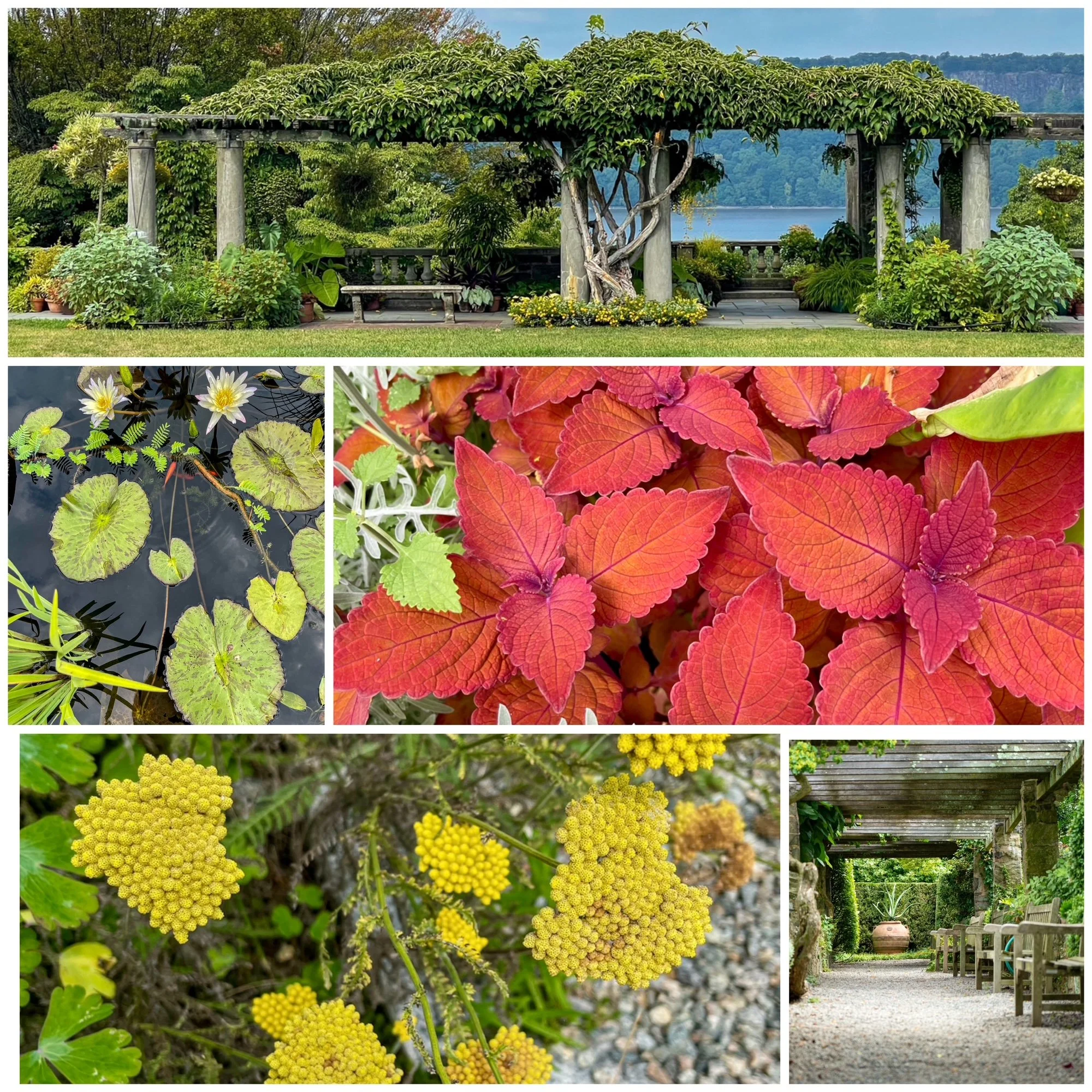 Wave Hill: A Hudson River Gem&nbsp;