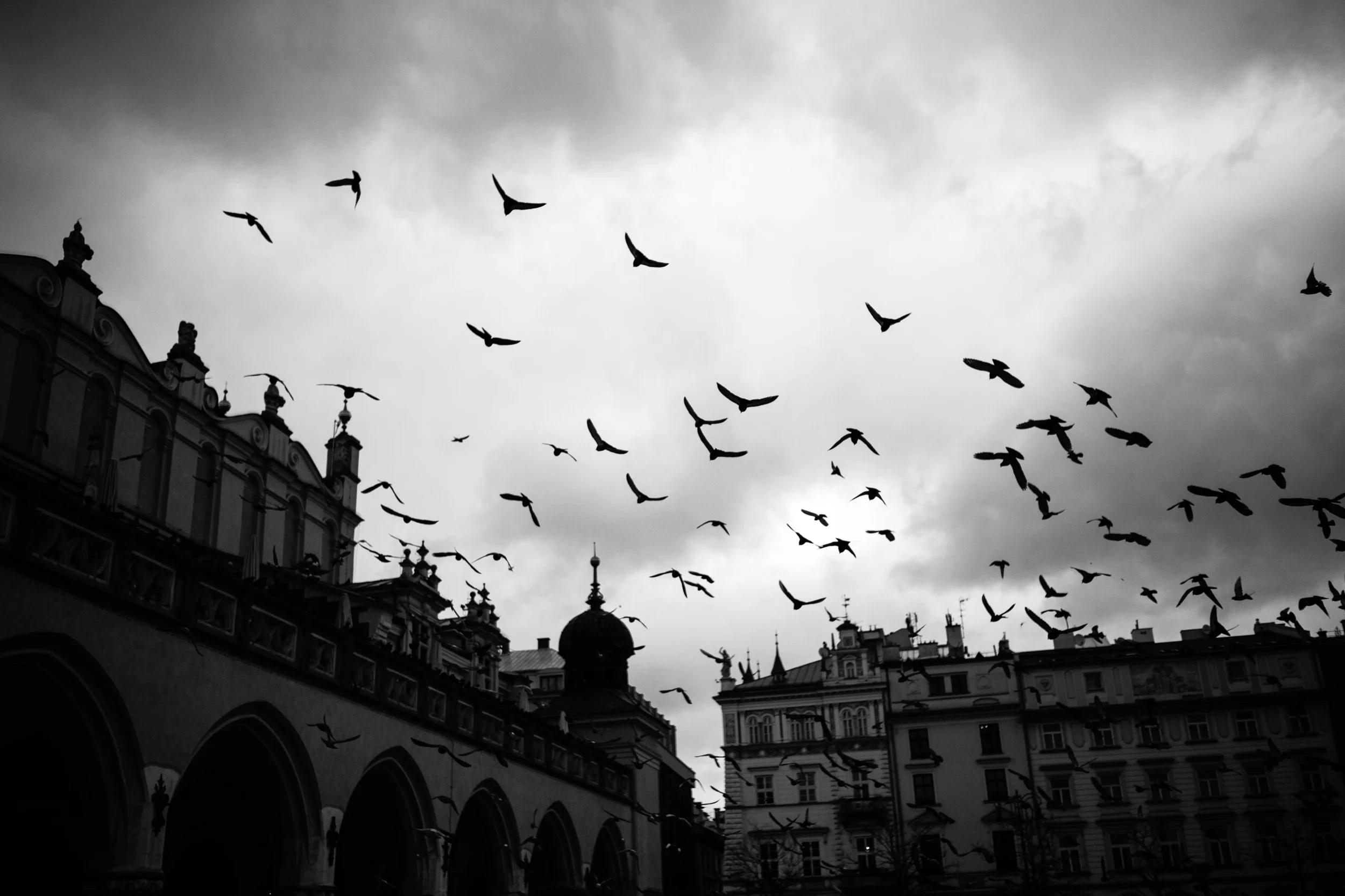 _MG_0222.jpg