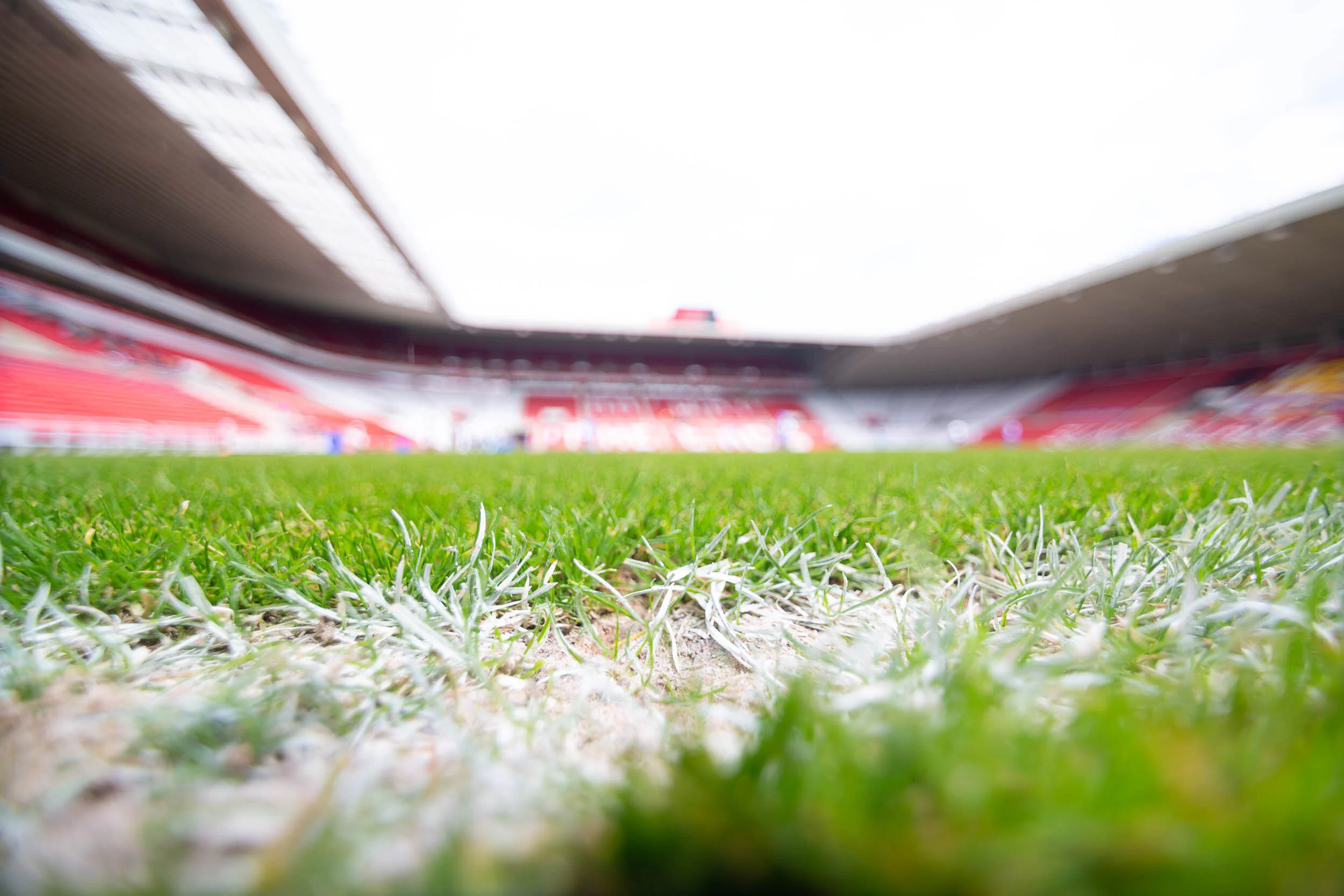 Veterans In Crisis-13.jpg