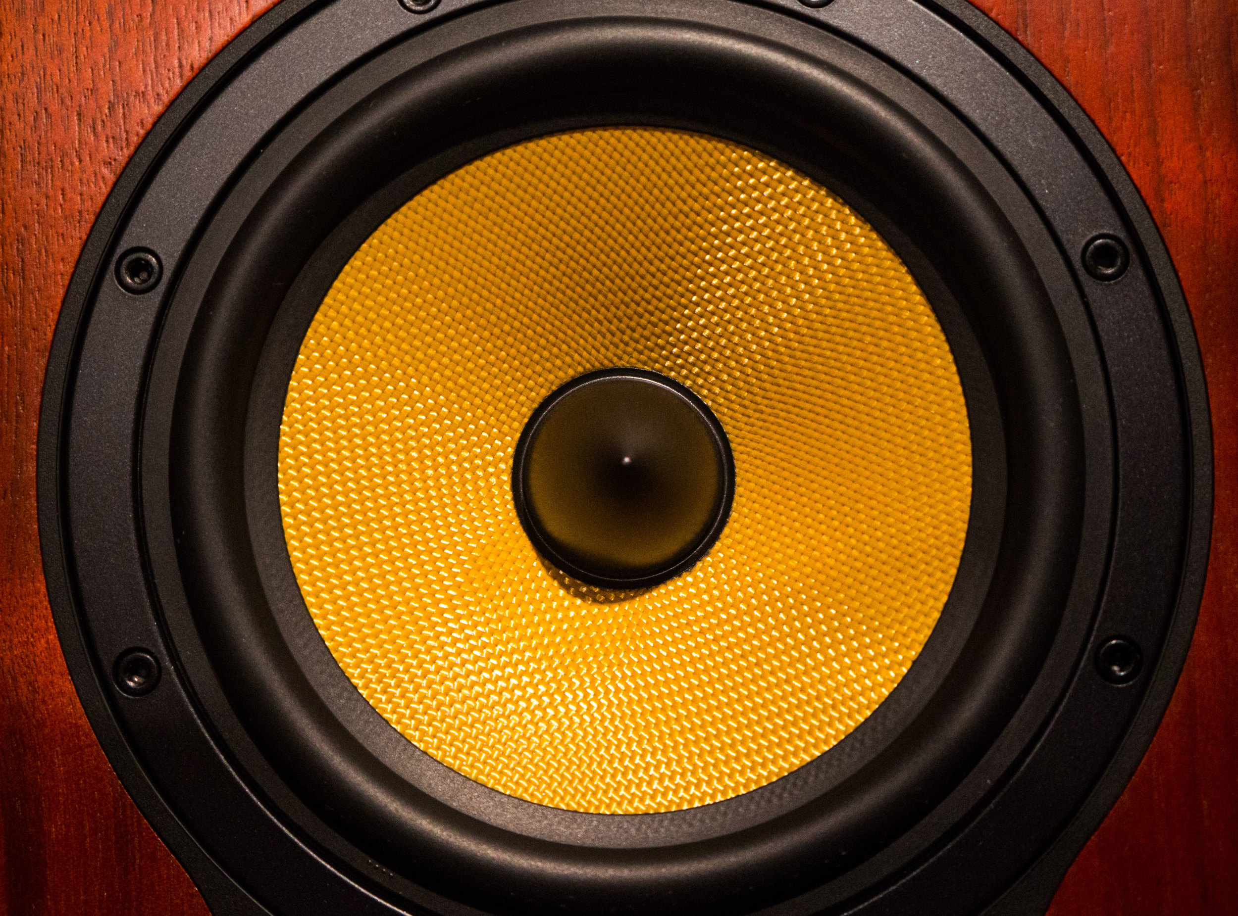 speaker.jpg
