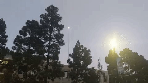 giphy (1).gif