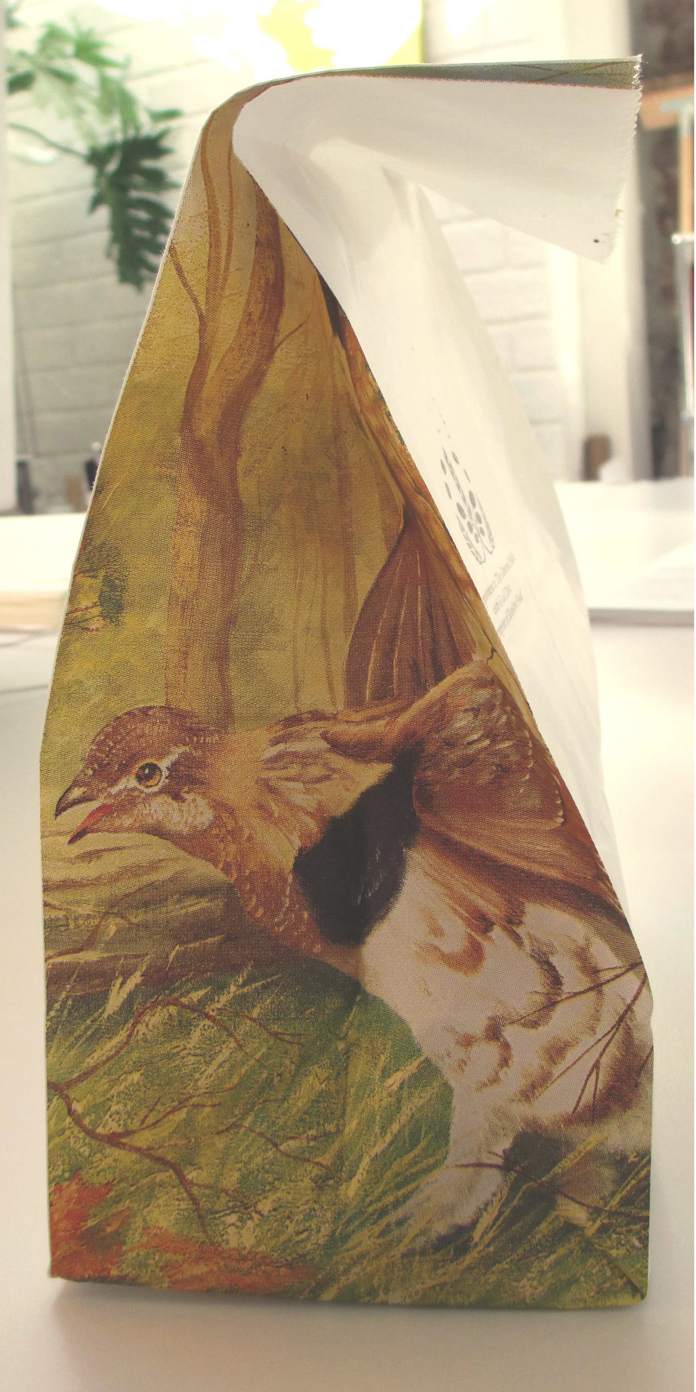 BITpackaging2.jpg