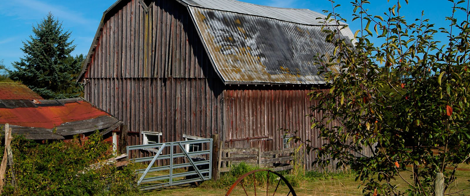 View of the farm