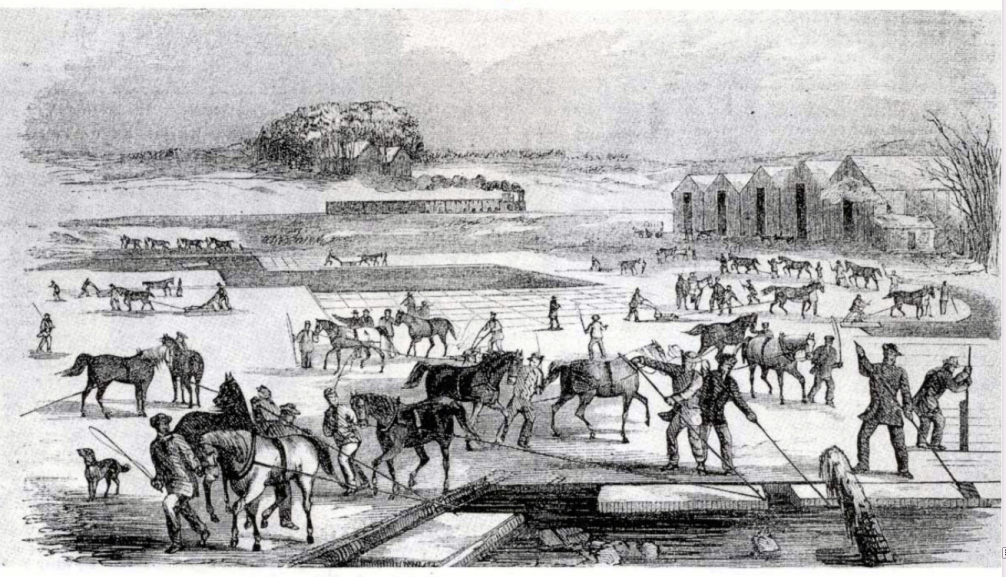 Ice Harvesting in Massachusetts, early 1850s.
