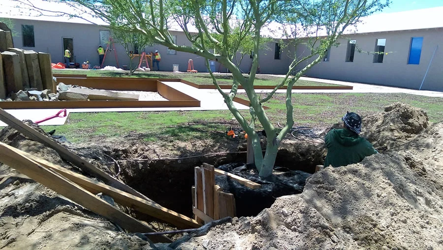 A few minor adjustments to tree alignment.