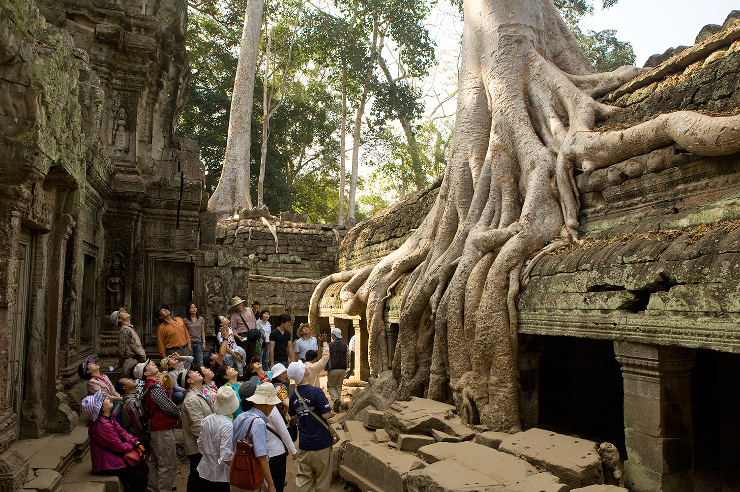  A tour group listens as their guide describes a tree at Ta Prohm temple, Angkor, Cambodia. 