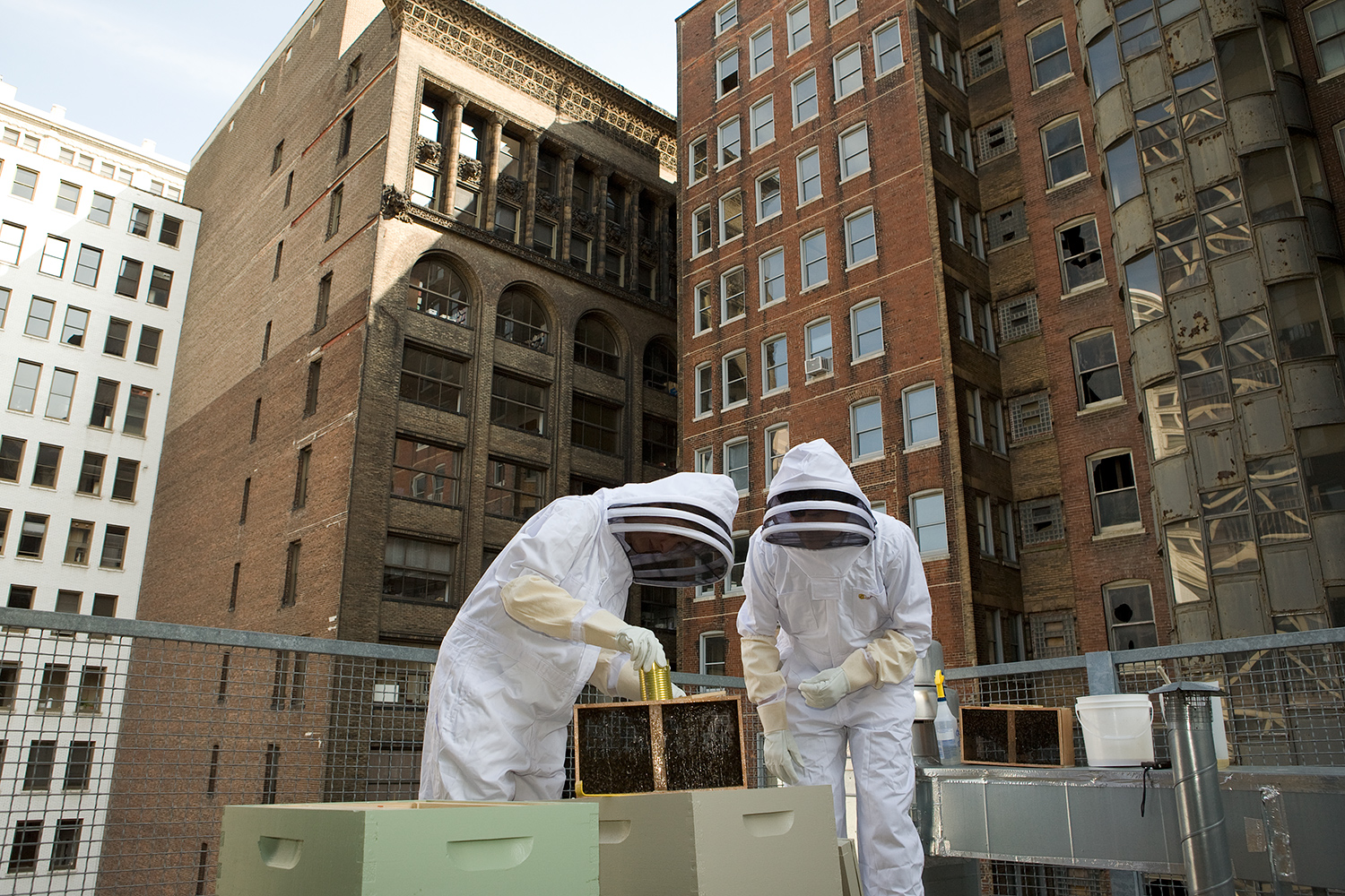  Natalie Semchyshyn and Amos Harris bring out the queen of their first beehive on their roof. St. Louis, Missouri. 