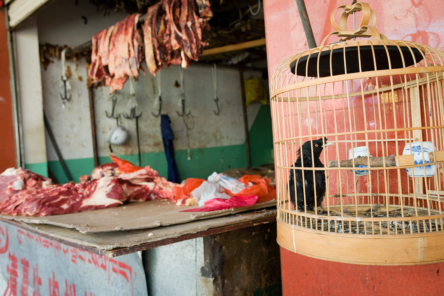  A butcher shop sells yak meat in the open air, Lhasa. 