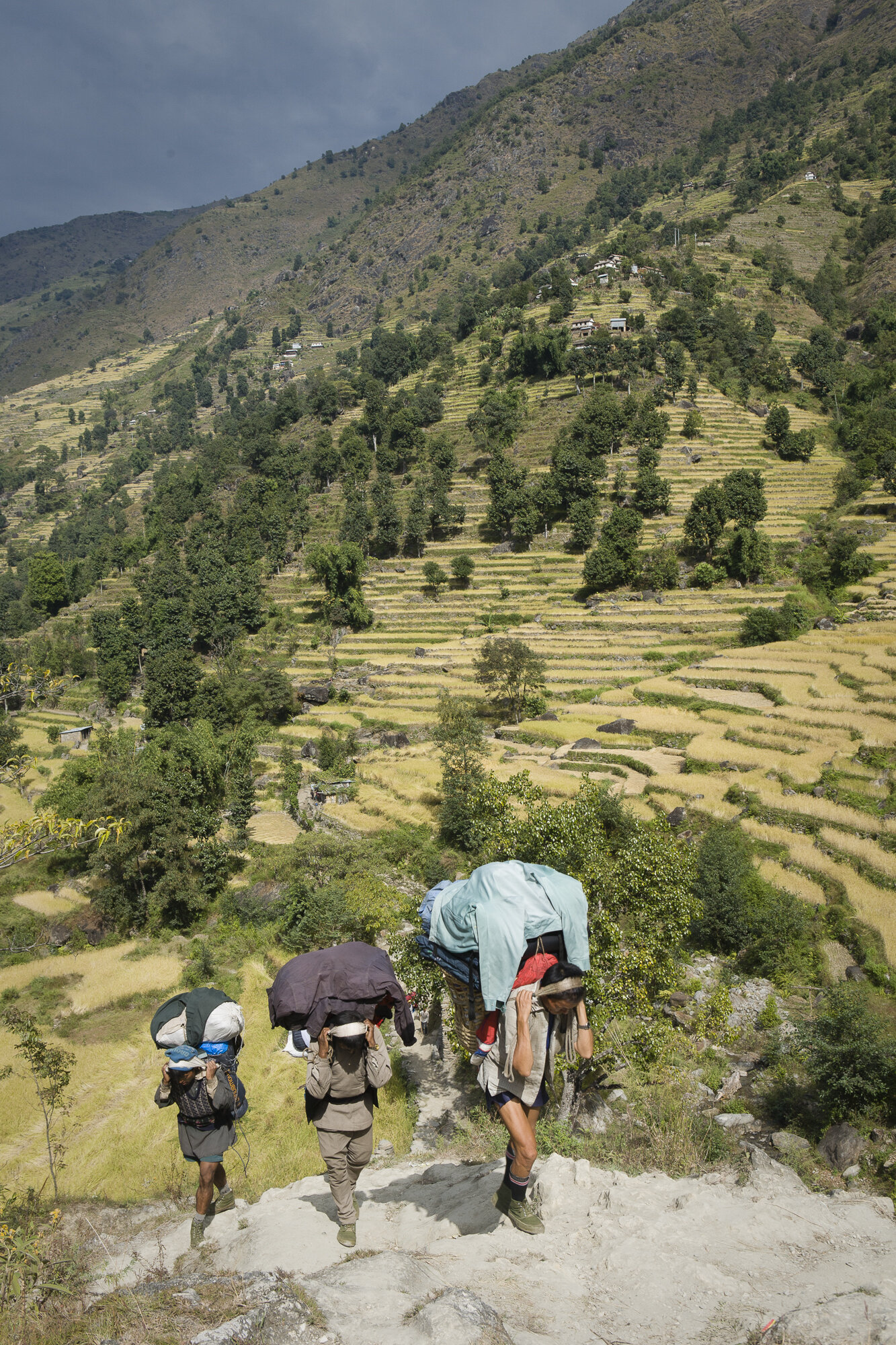  Porters carry their heavy loads up and down the often steep paths of the Annapurna Circuit in Nepal. 