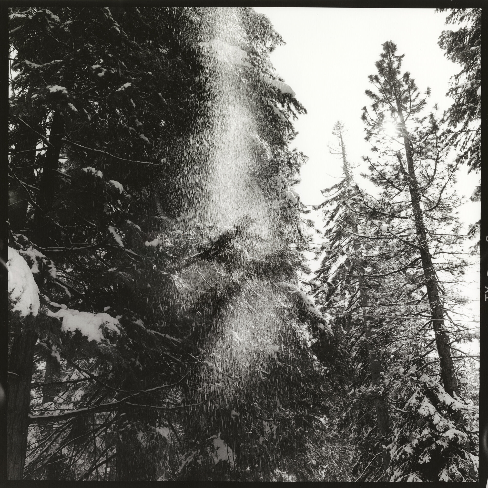  Snow falling. Lake Tahoe, California 