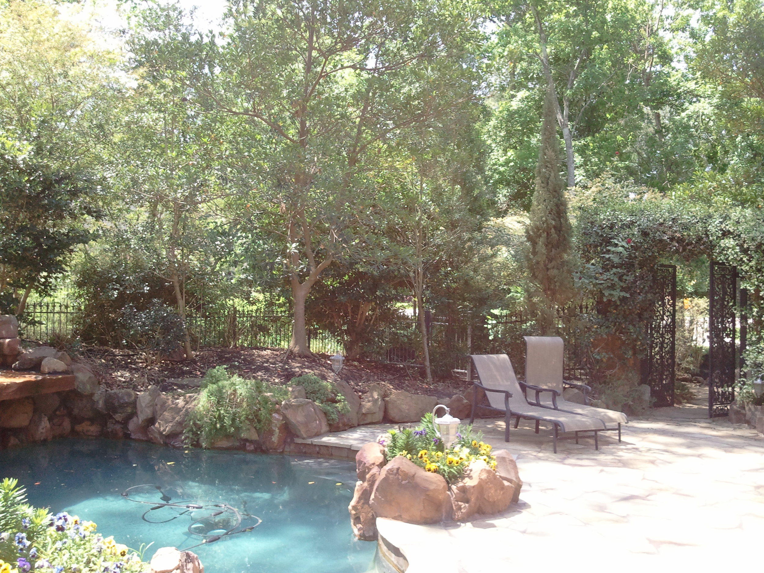 2011-04-13 12.56.41.jpg
