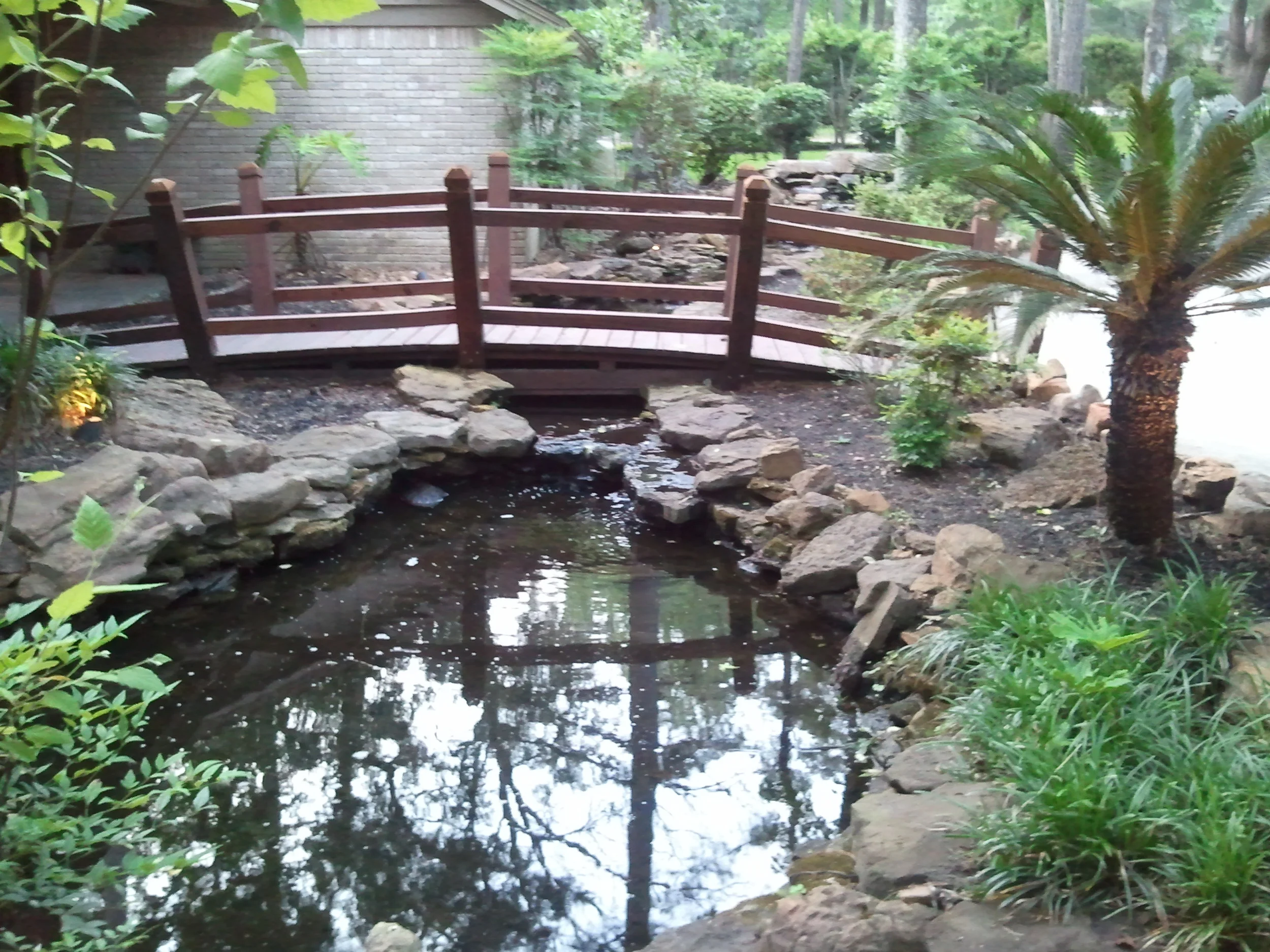 2011-04-25 19.19.52.jpg