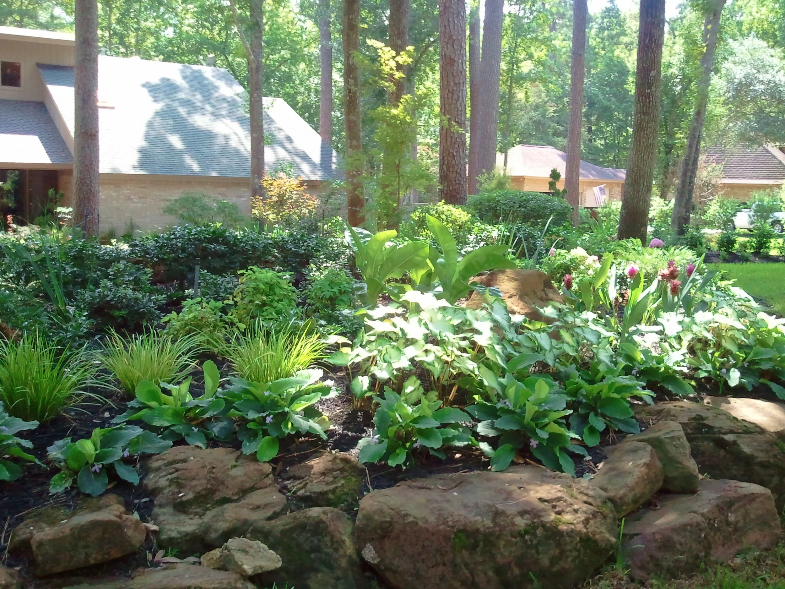 2011-07-26 15.53.58.jpg