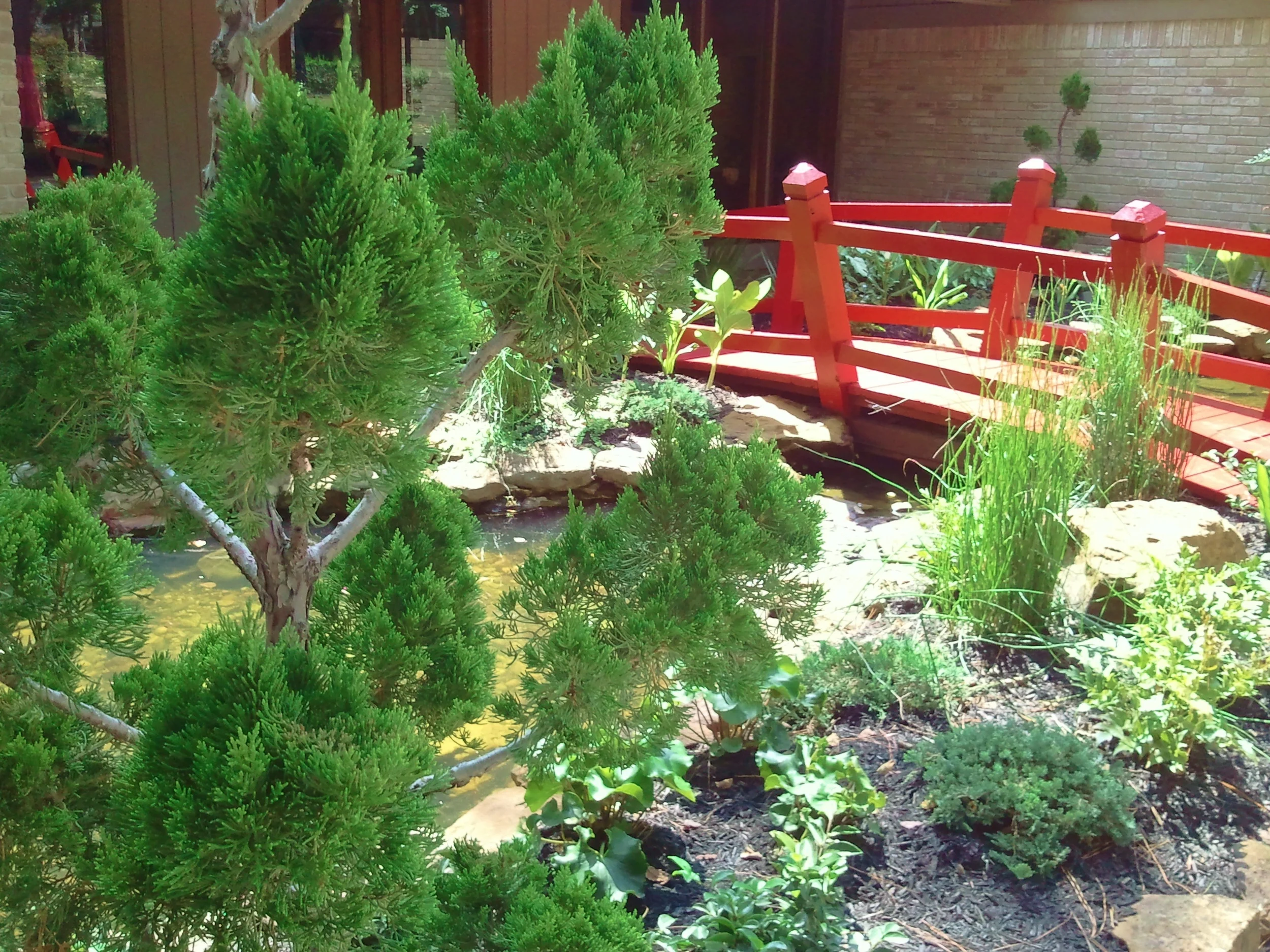 2011-07-26 15.56.02.jpg