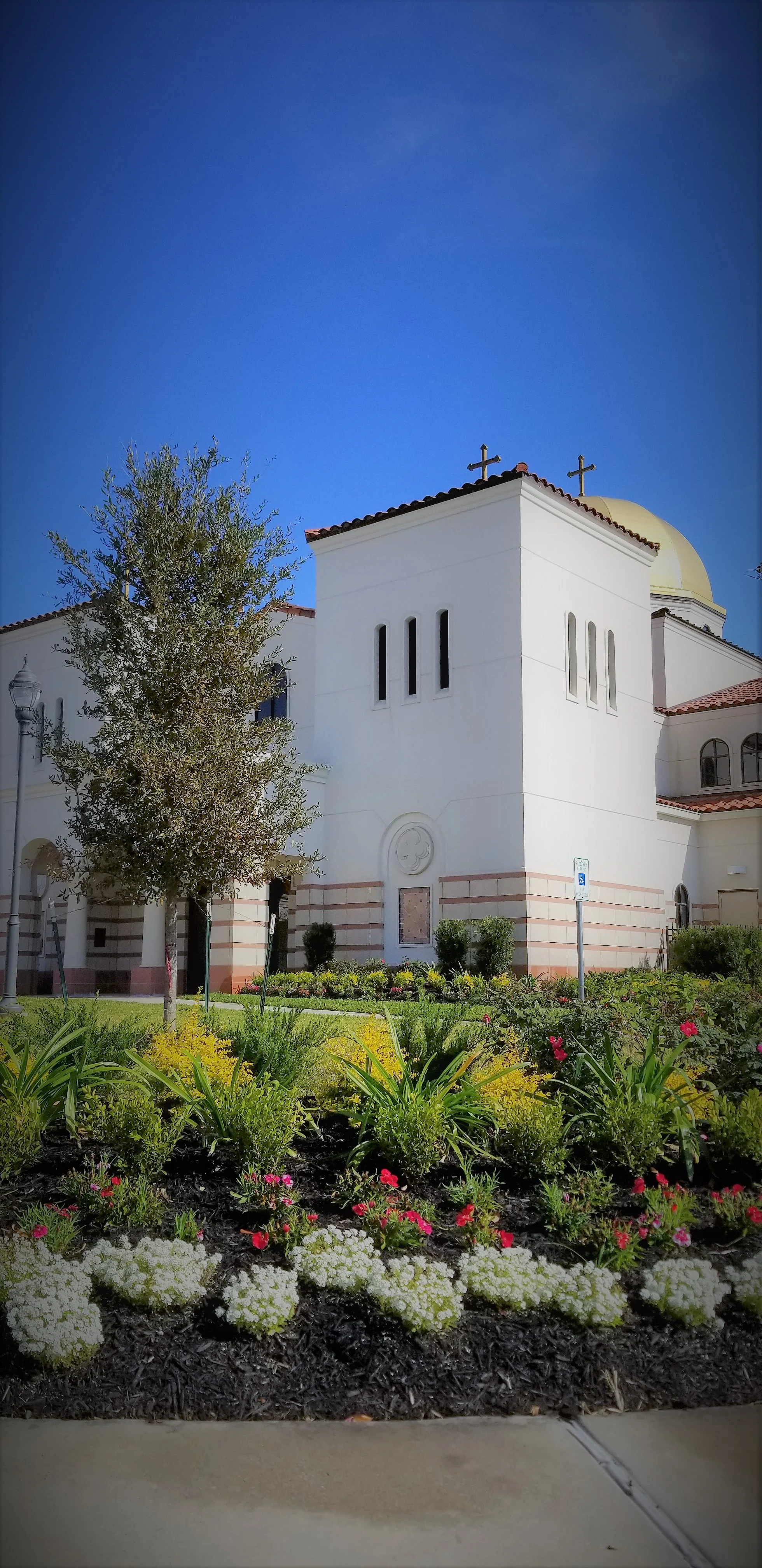 Saint Anthony Picture 9.jpg