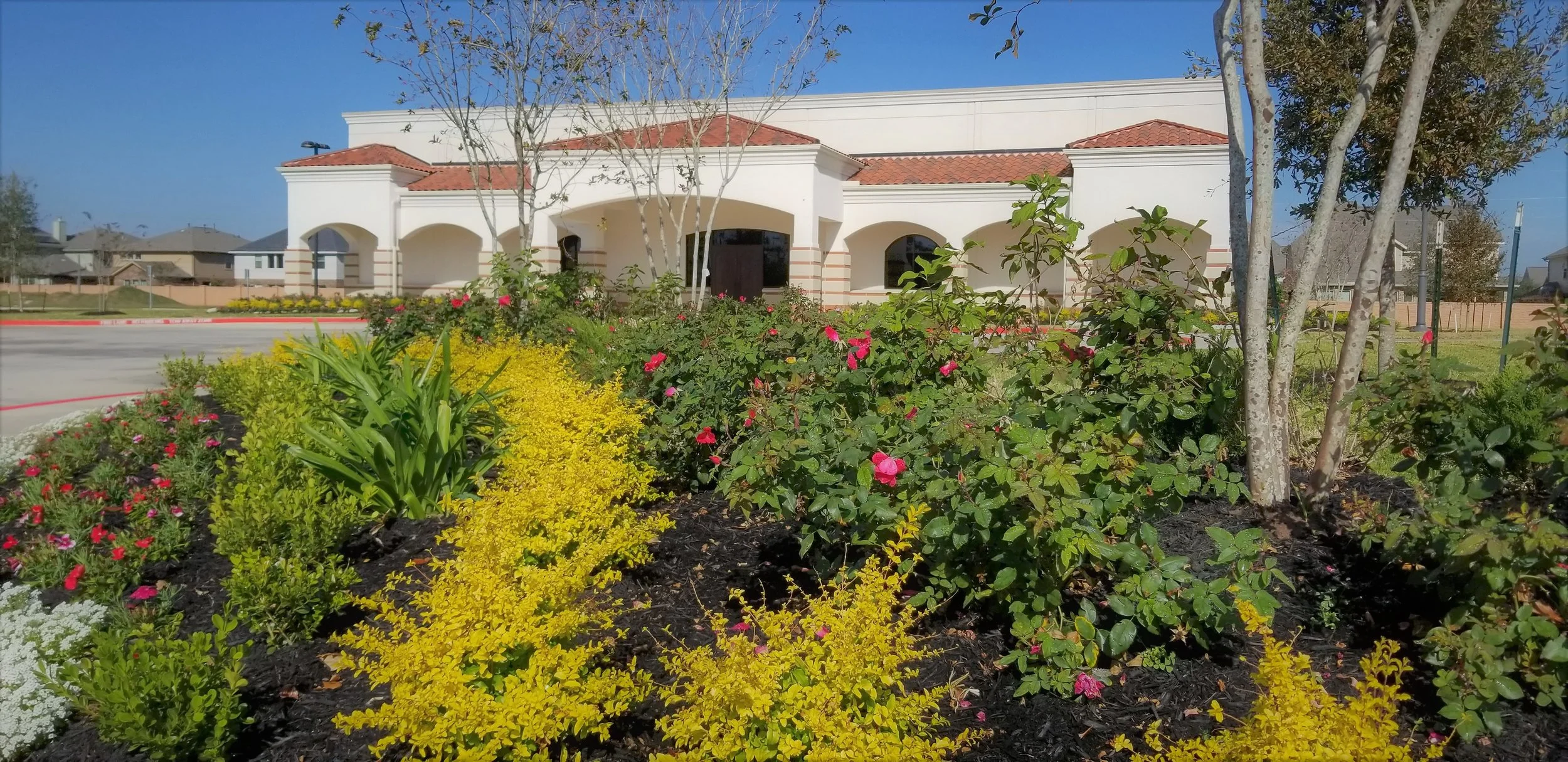 Saint Anthony Picture 18.jpg