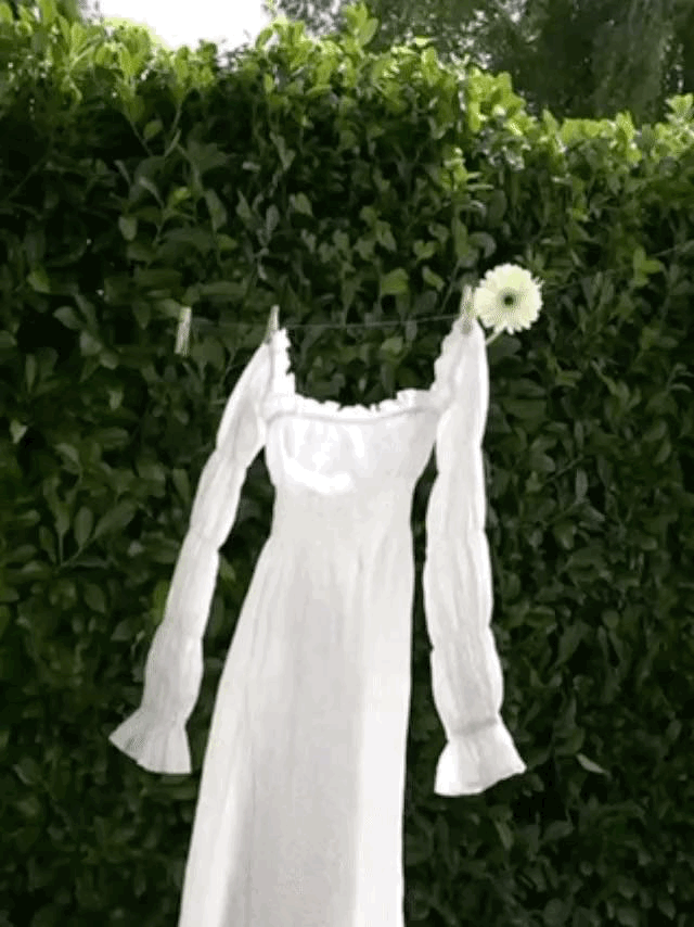 WhatsApp GIF 2025-05-08 at 14.00.25.gif