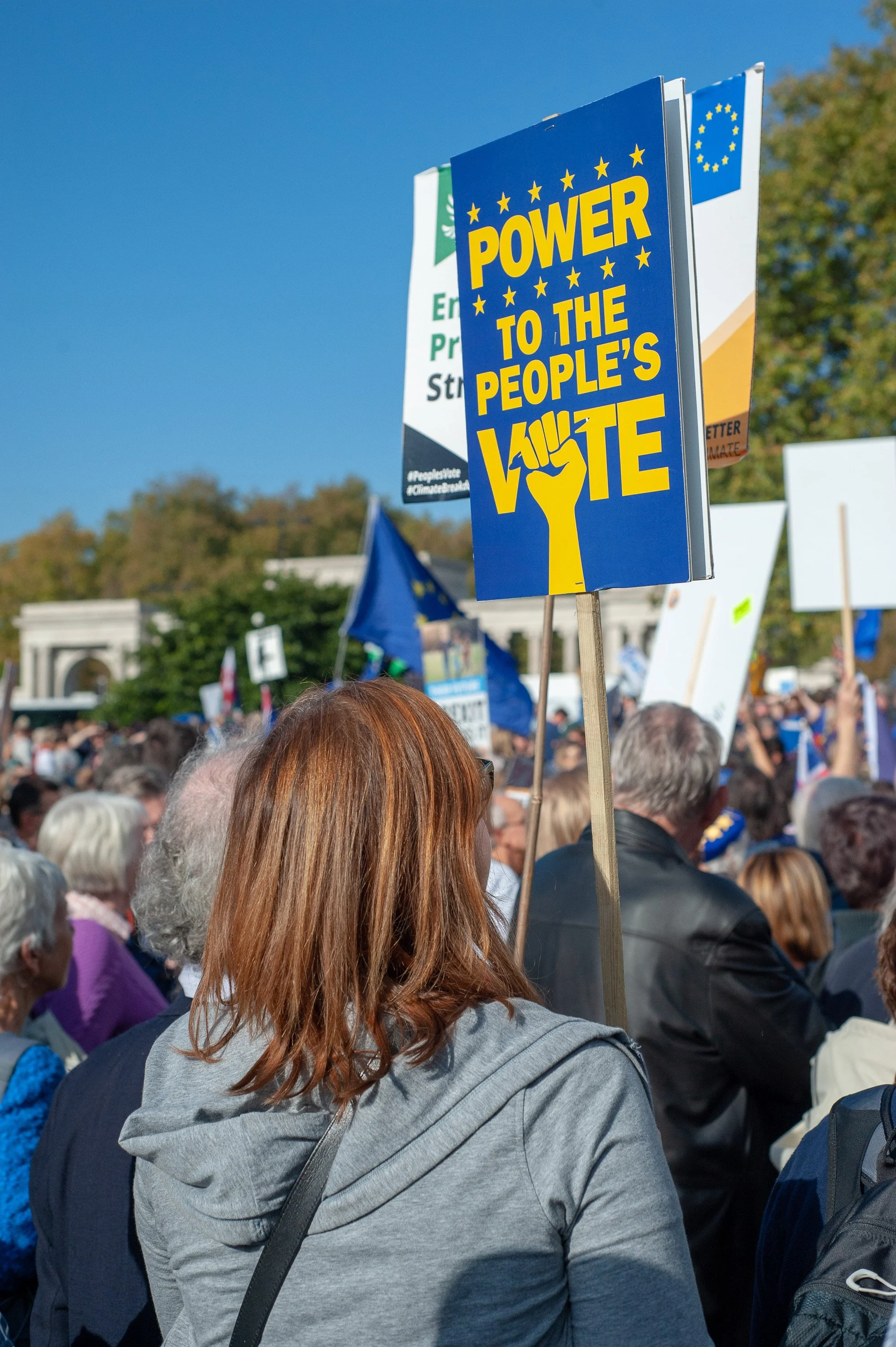 Peoples vote protest-London-20 October-2018-14.jpg