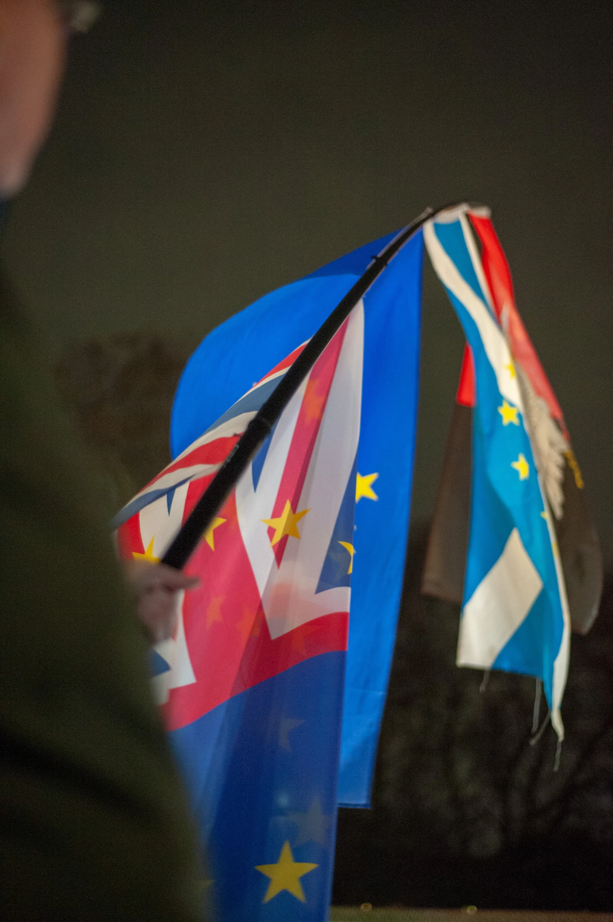 Westminster 13-03-2019-29.jpg