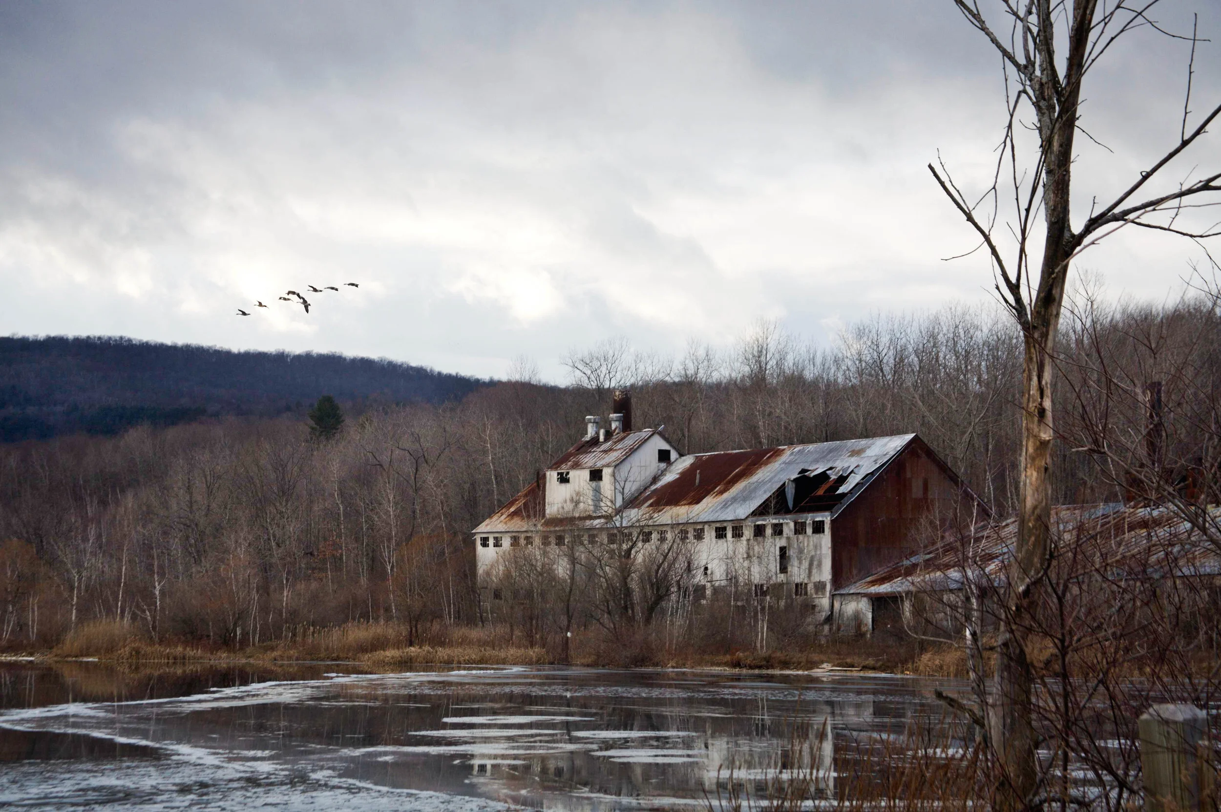 36. Western CT