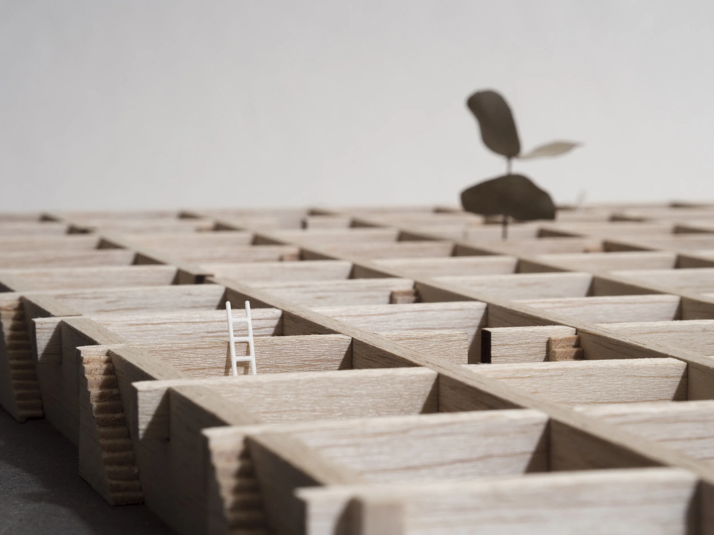 FL037_100 rooms for 50 dinners