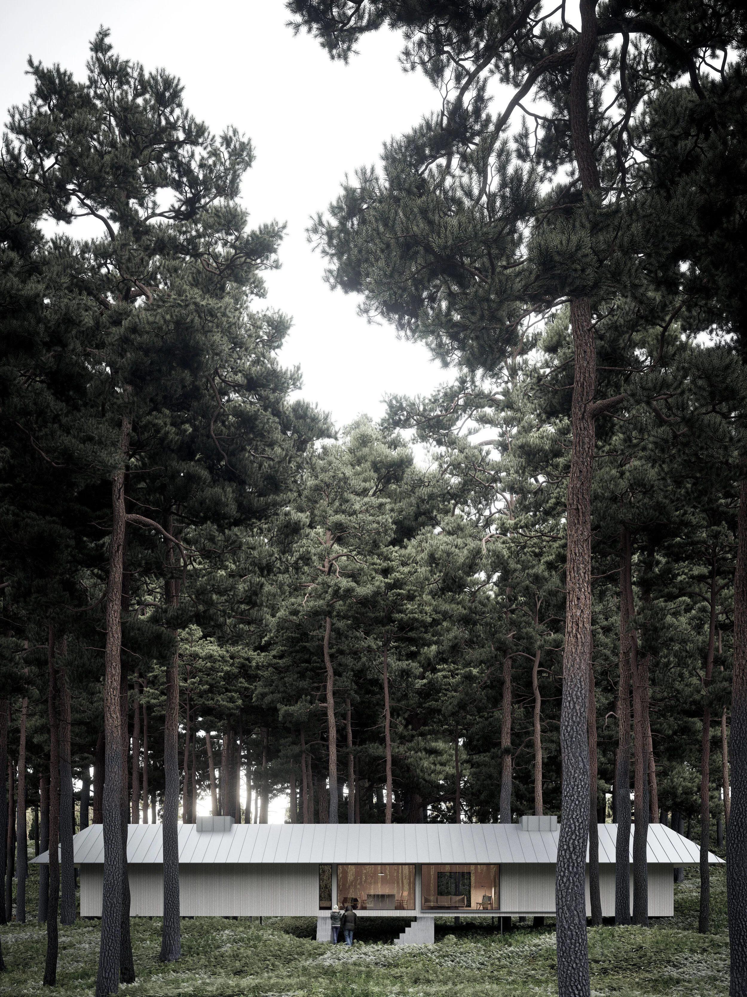 FL041_House on two stairs