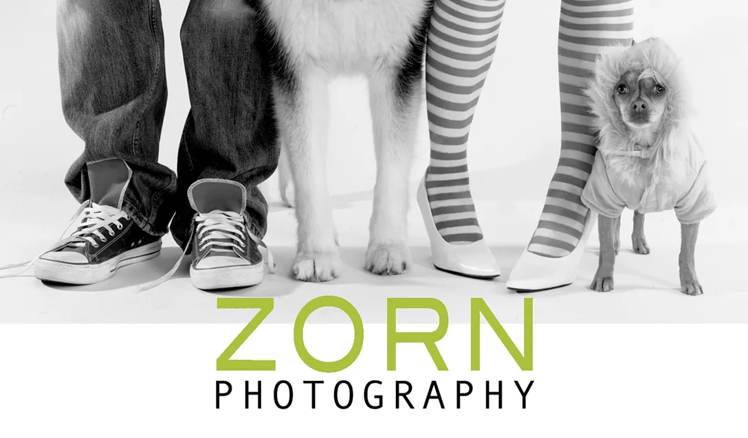 zornlogo.jpg