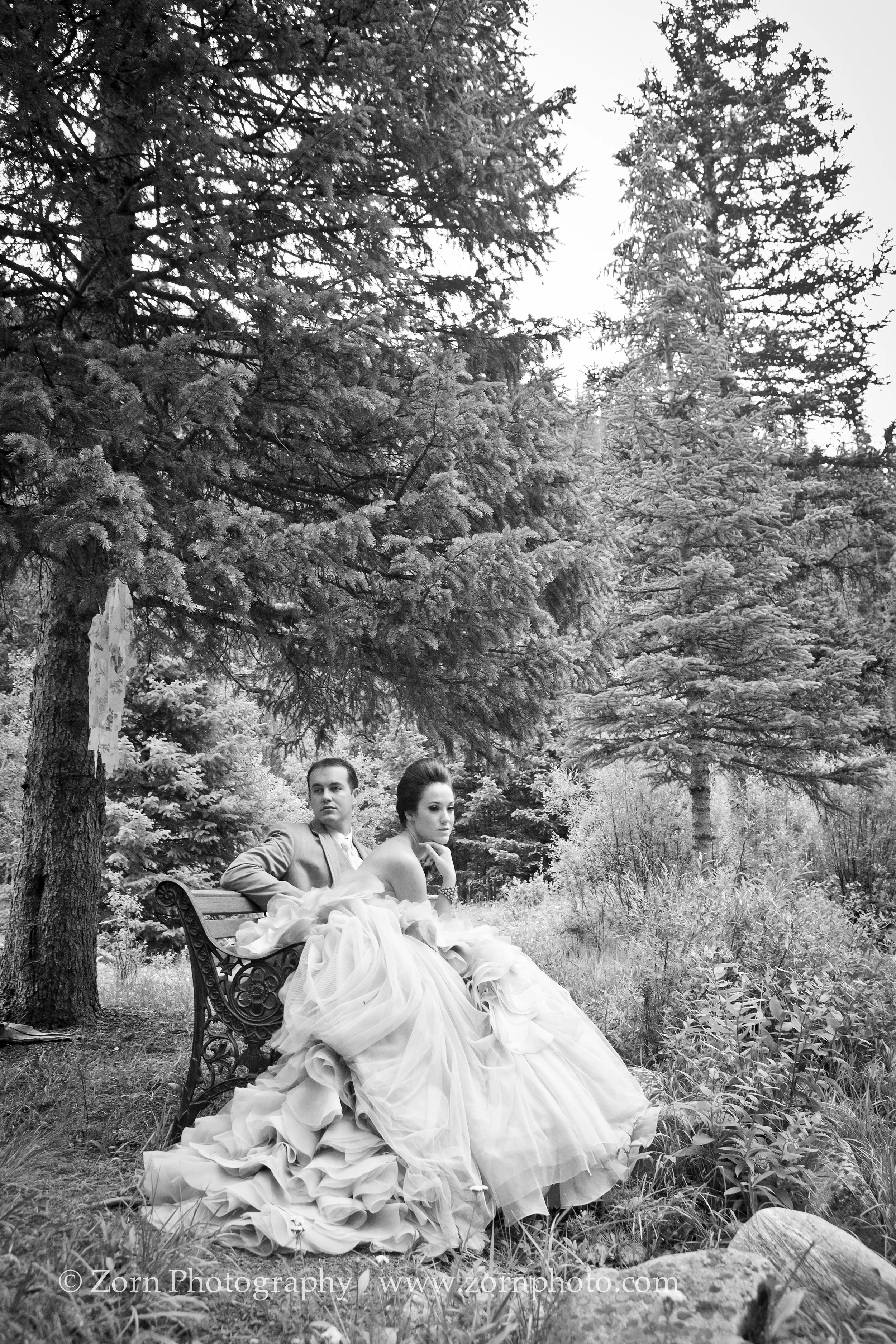 I_1382_1.jpg