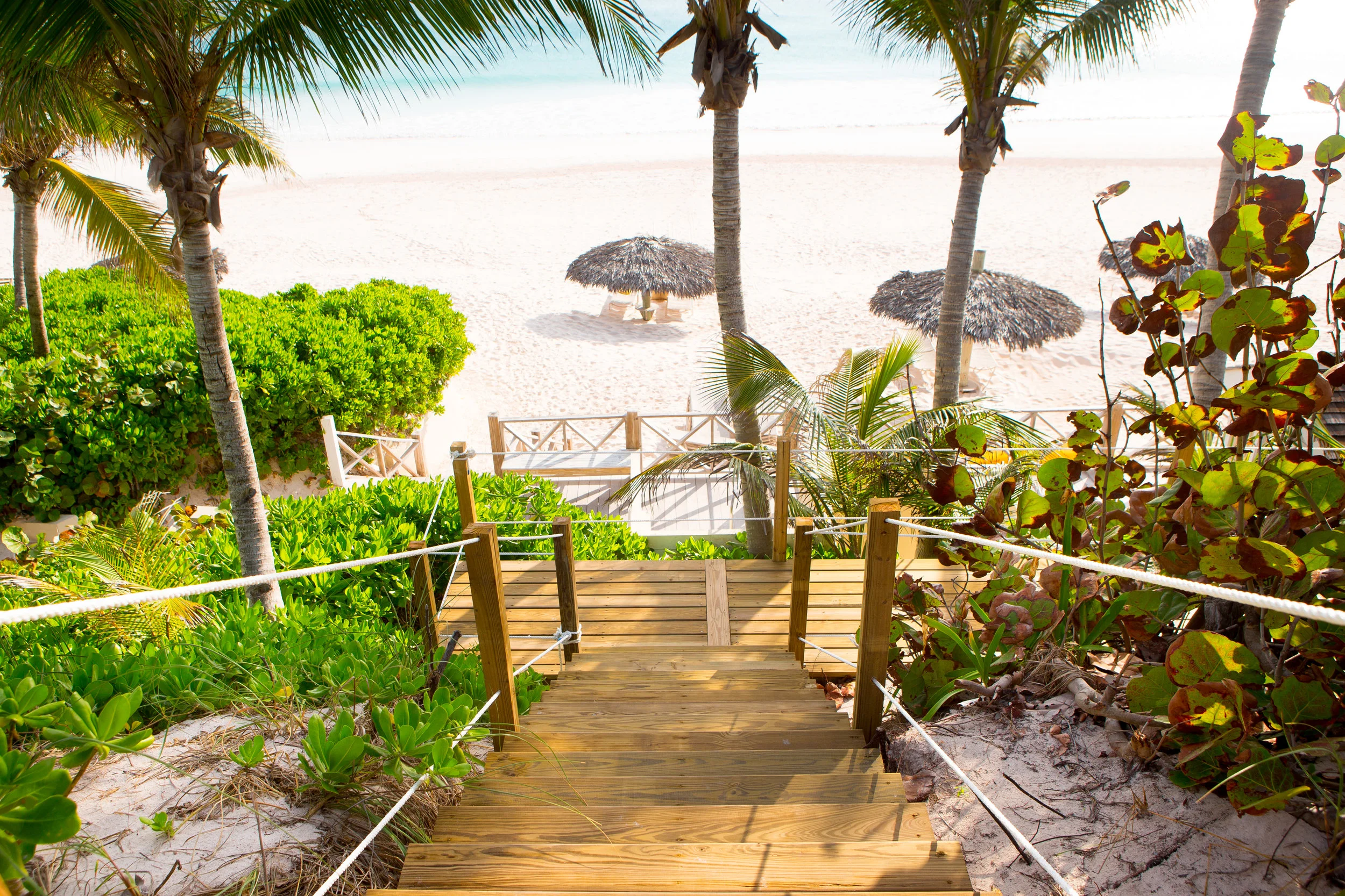 CoralSands0483.jpg