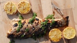 Cinder House Green Egg