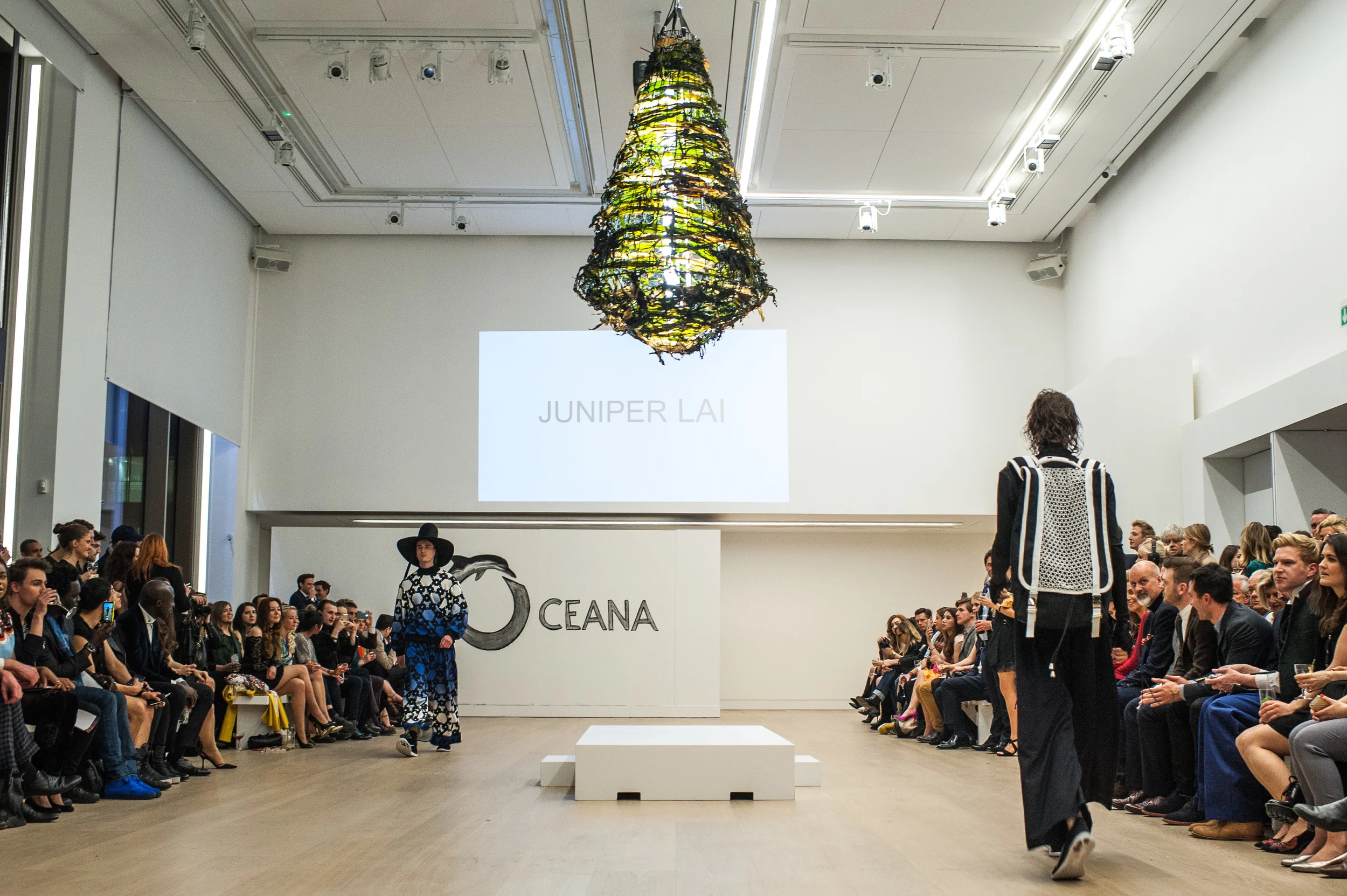 Oceana-22.jpg