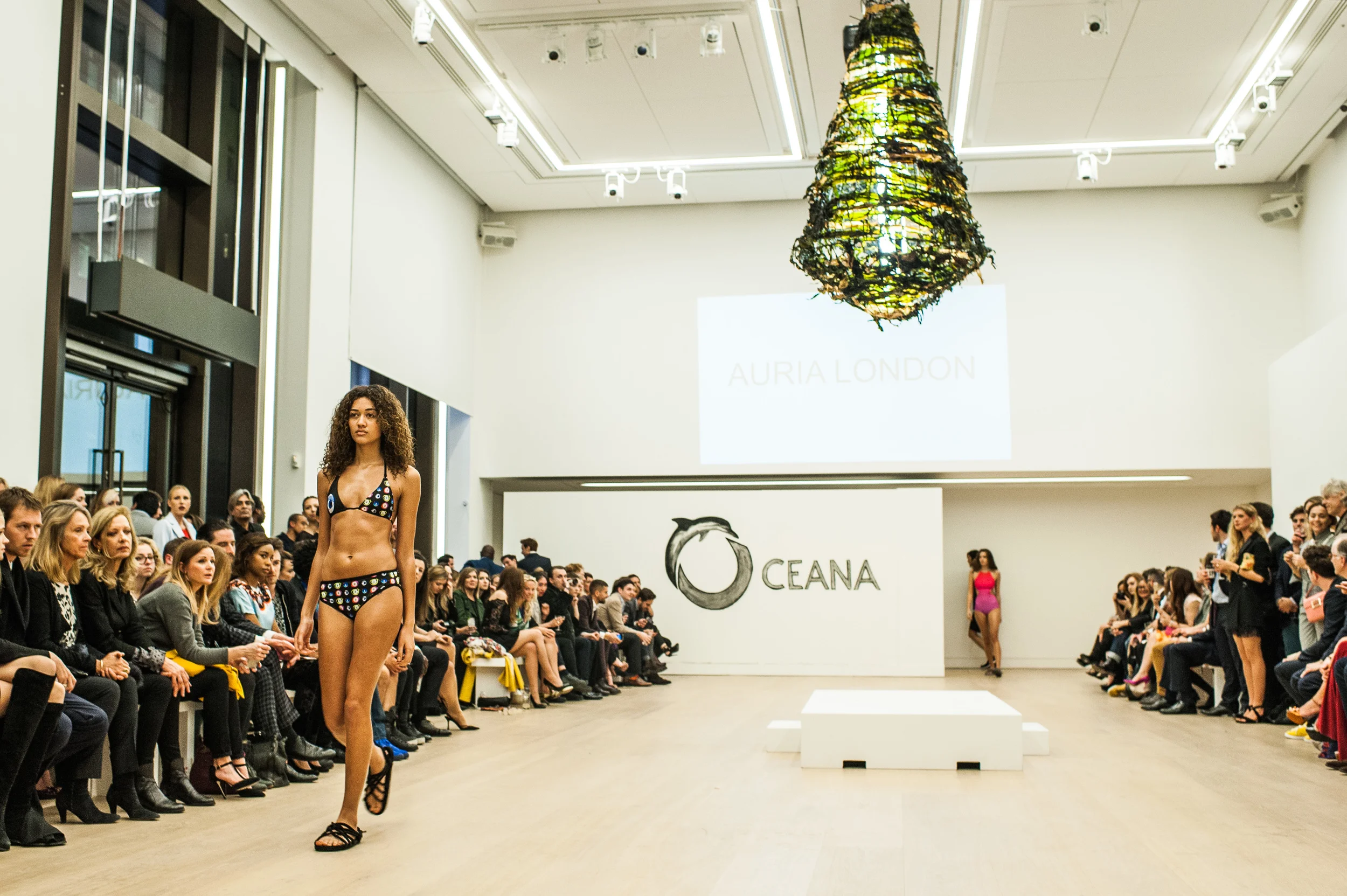 Oceana-32.jpg