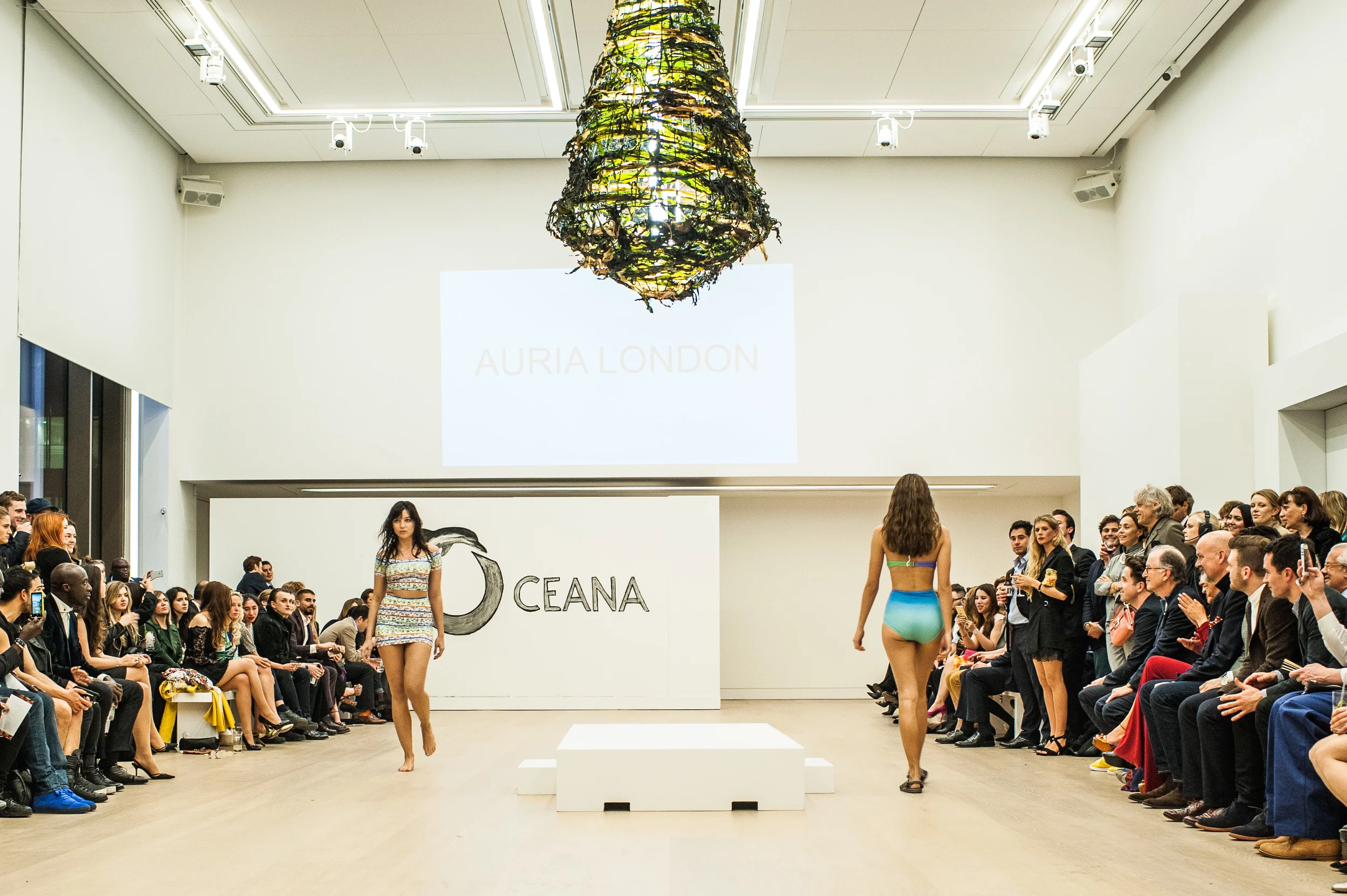 Oceana-33.jpg