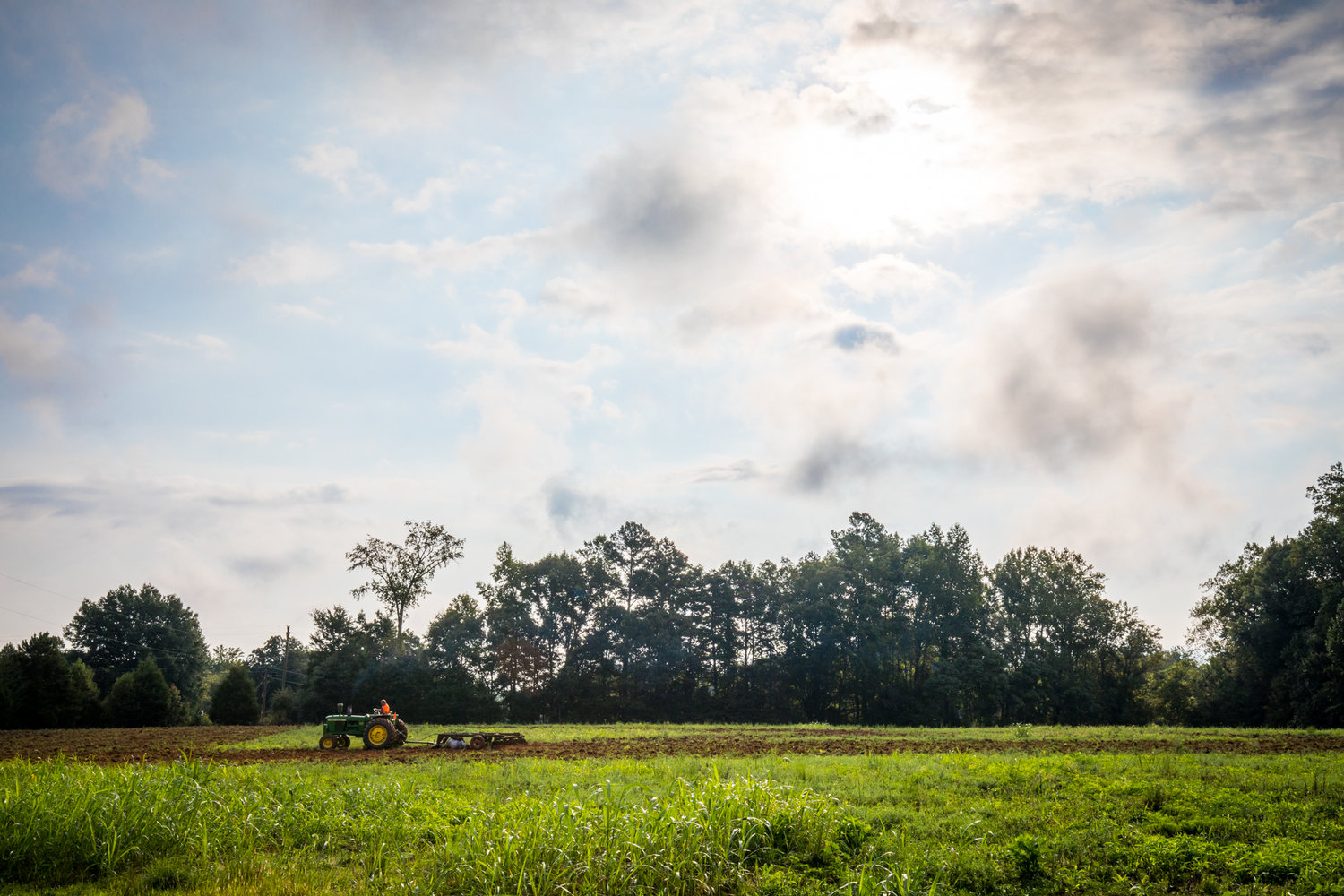 wetrock-farm-north-durham.jpg