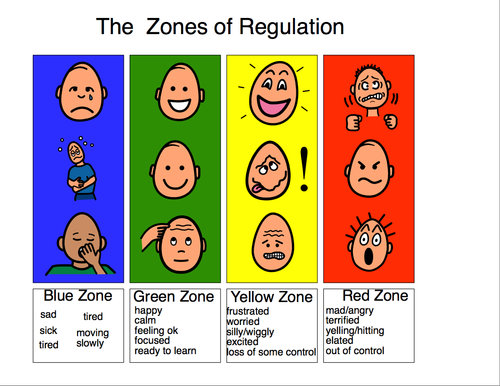 Emotional Regulation Classes