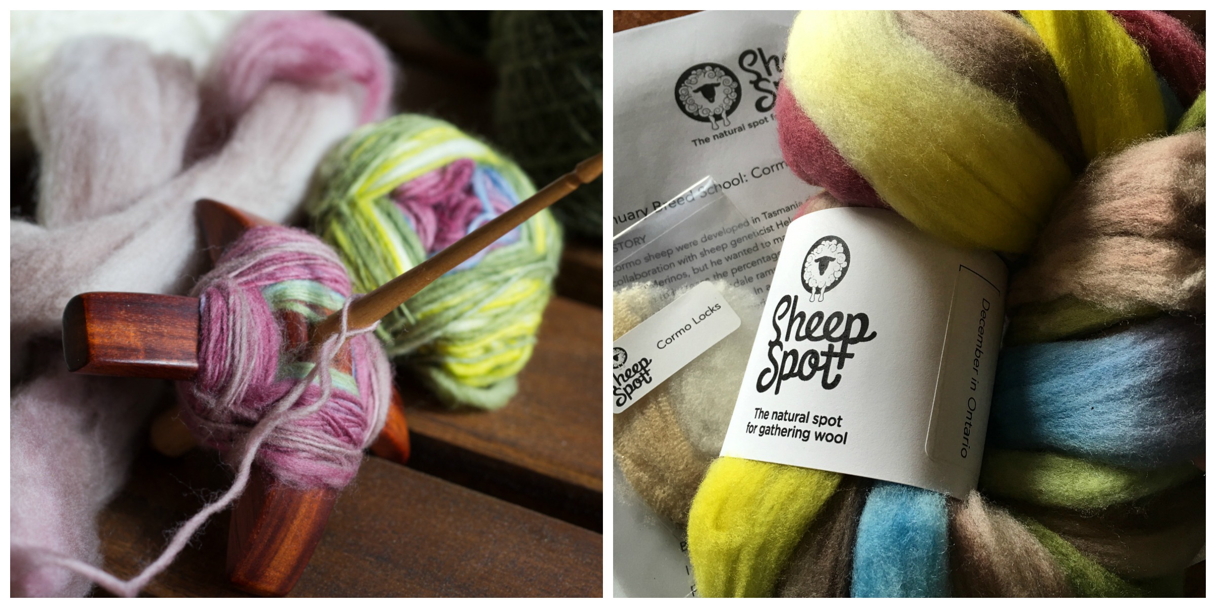 Fourth Installment: Cormo Top, spindle spun singles