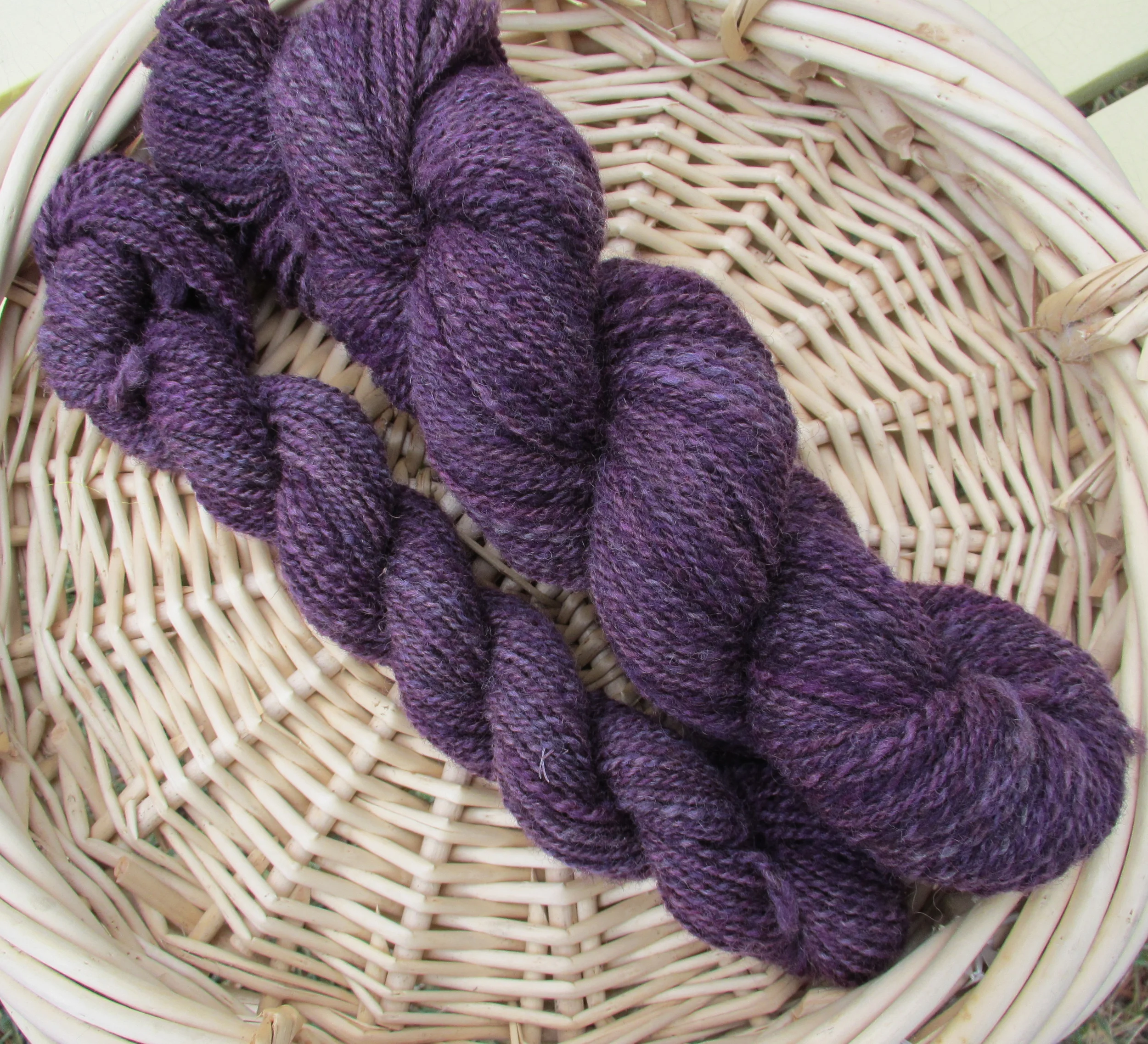 Coopworth in Amethyst
