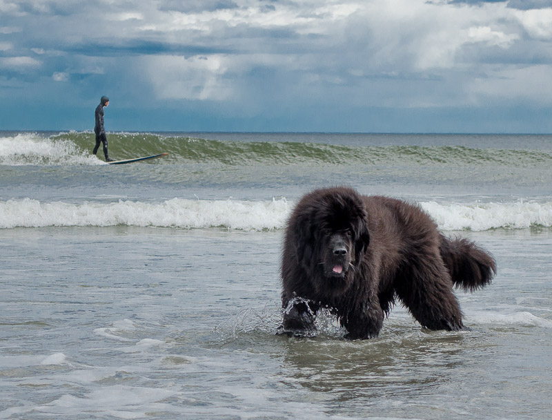 Skyla, Beach, Brian, Donna 2014-05-04 121.jpg