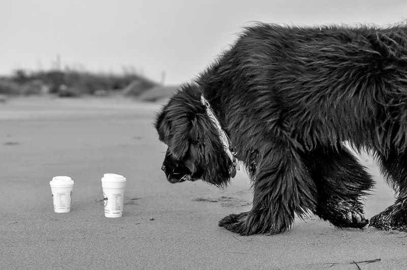 Skyla at Salisbury beach 2014-10-07 277.jpg