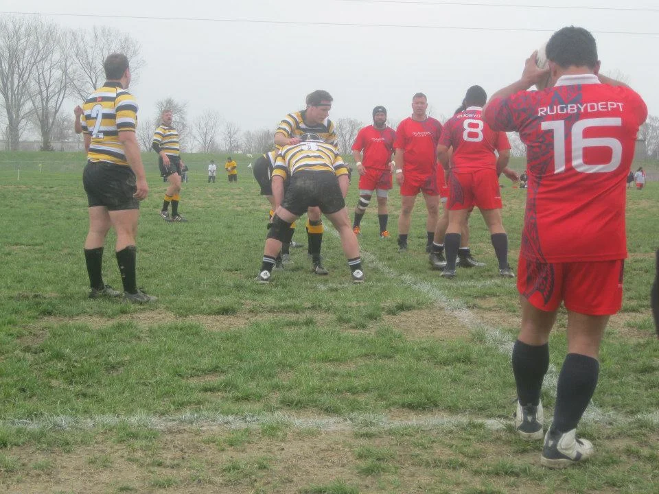 Hornets vs Scorpions